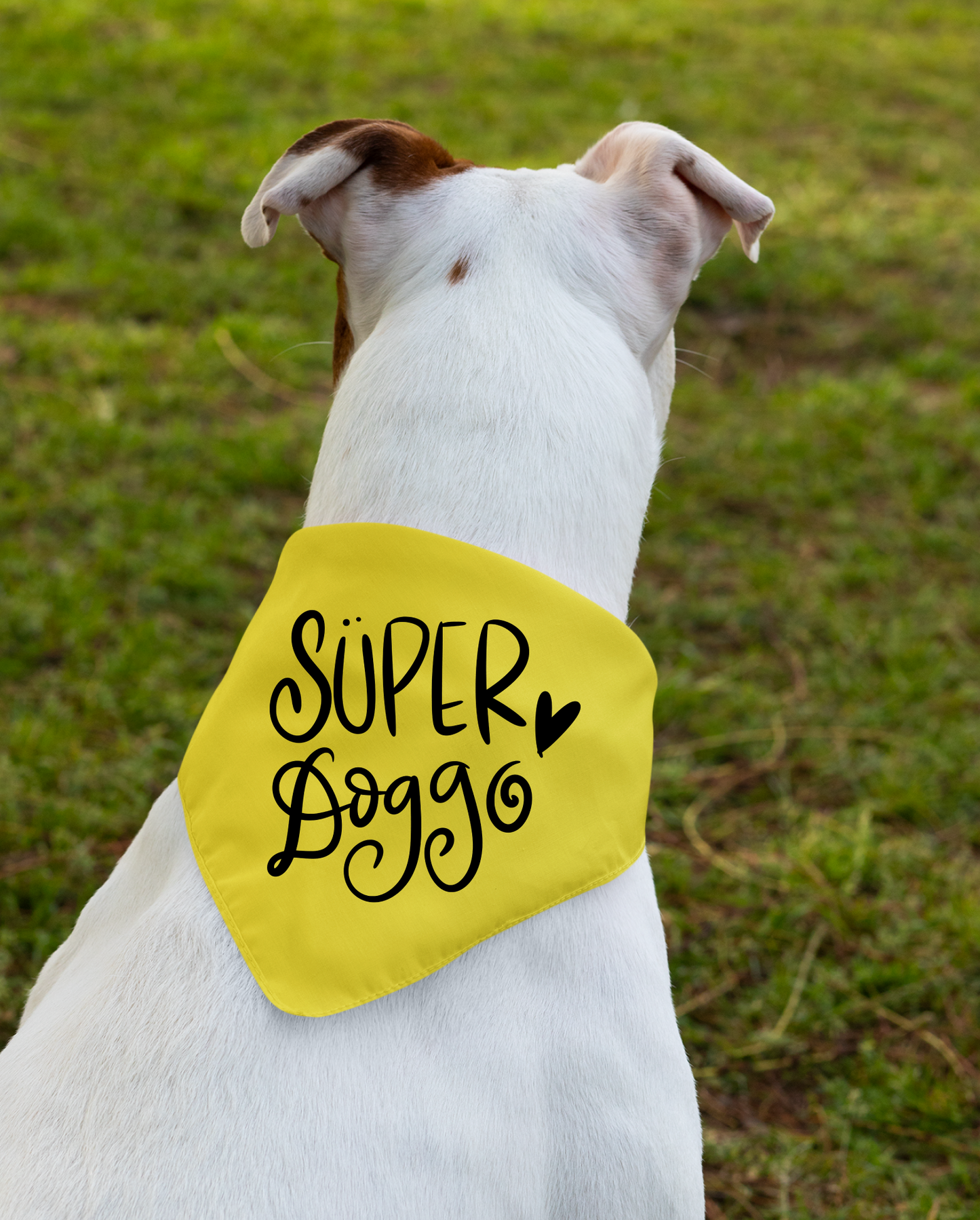 Super Doggo Dog Banda  | Cute Pet Accessory for Puppies & Dogs