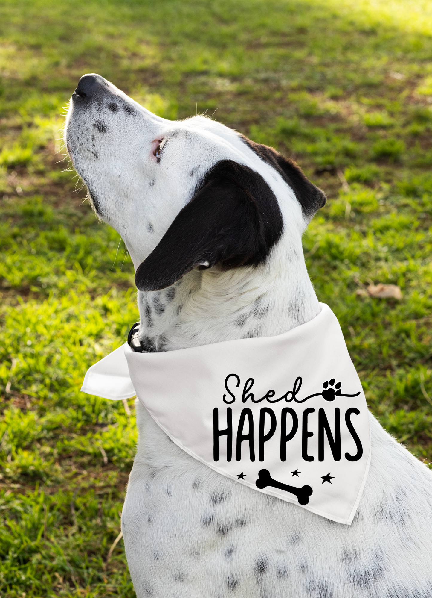 Shed Happens: Detachable Collar Dog Bandana