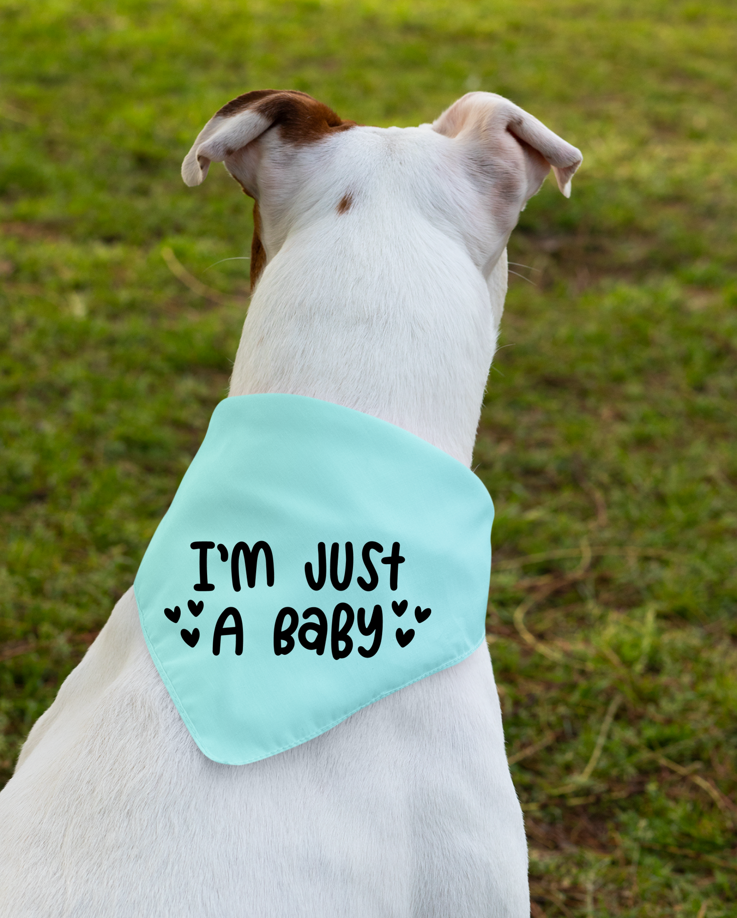 I Am Just a Baby Dog Bandana | Cute Pet Accessory for Puppies & Dogs