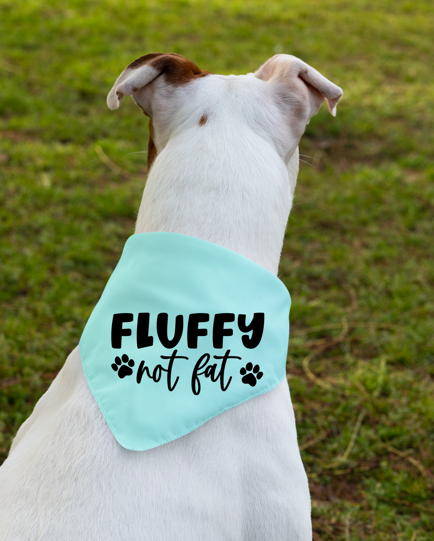 Fluffy Not Fat: Detachable Collar Dog Bandana