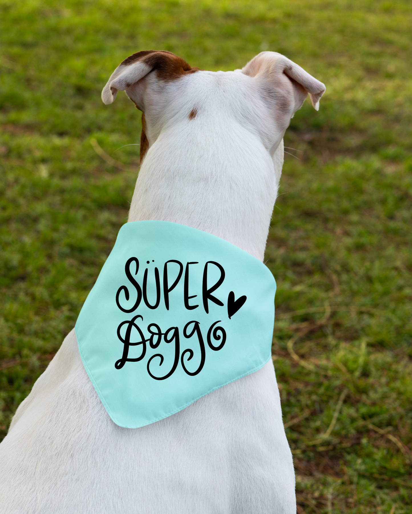 Super Doggo Dog Banda  | Cute Pet Accessory for Puppies & Dogs