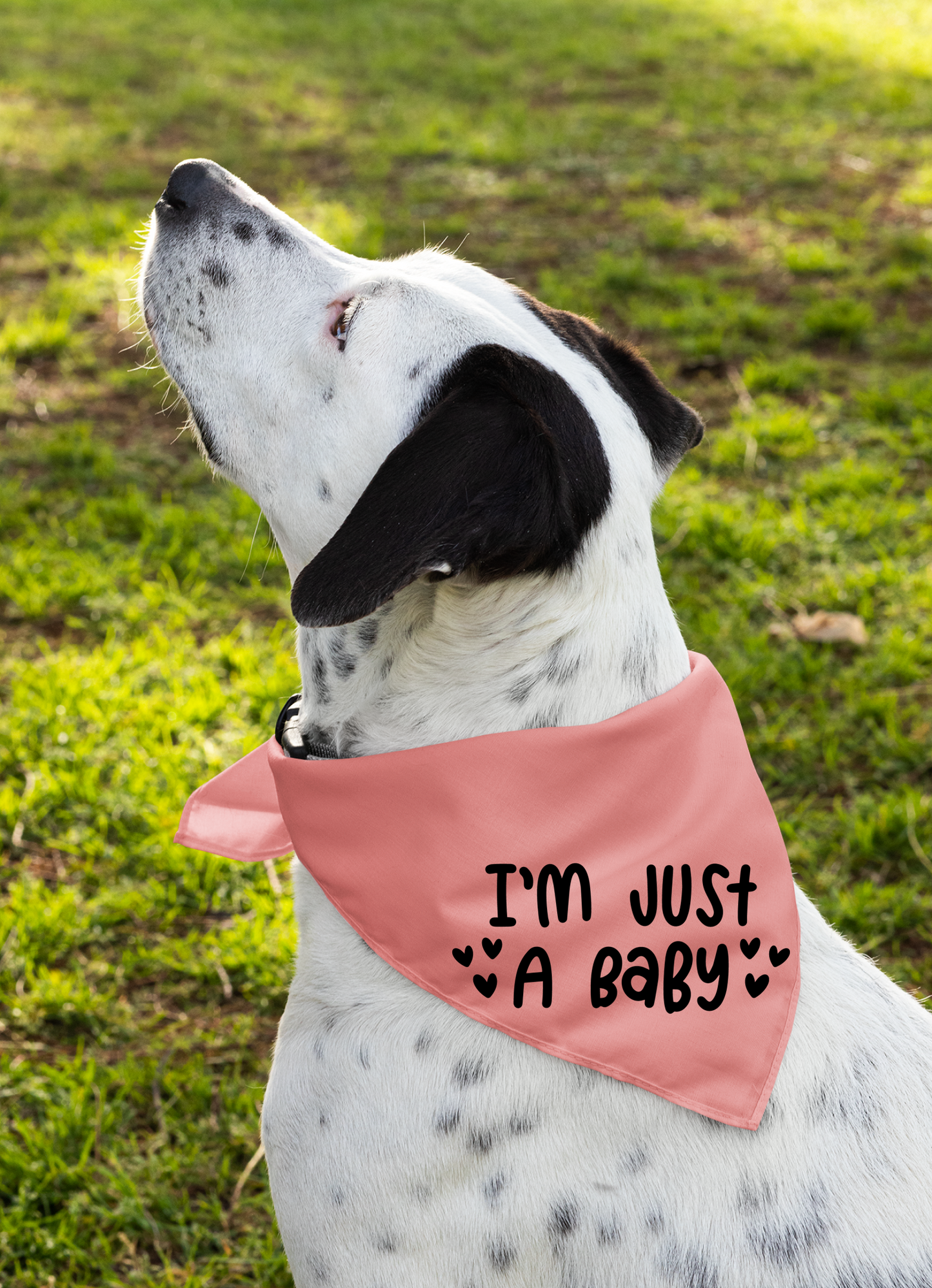 I Am Just a Baby Dog Bandana | Cute Pet Accessory for Puppies & Dogs