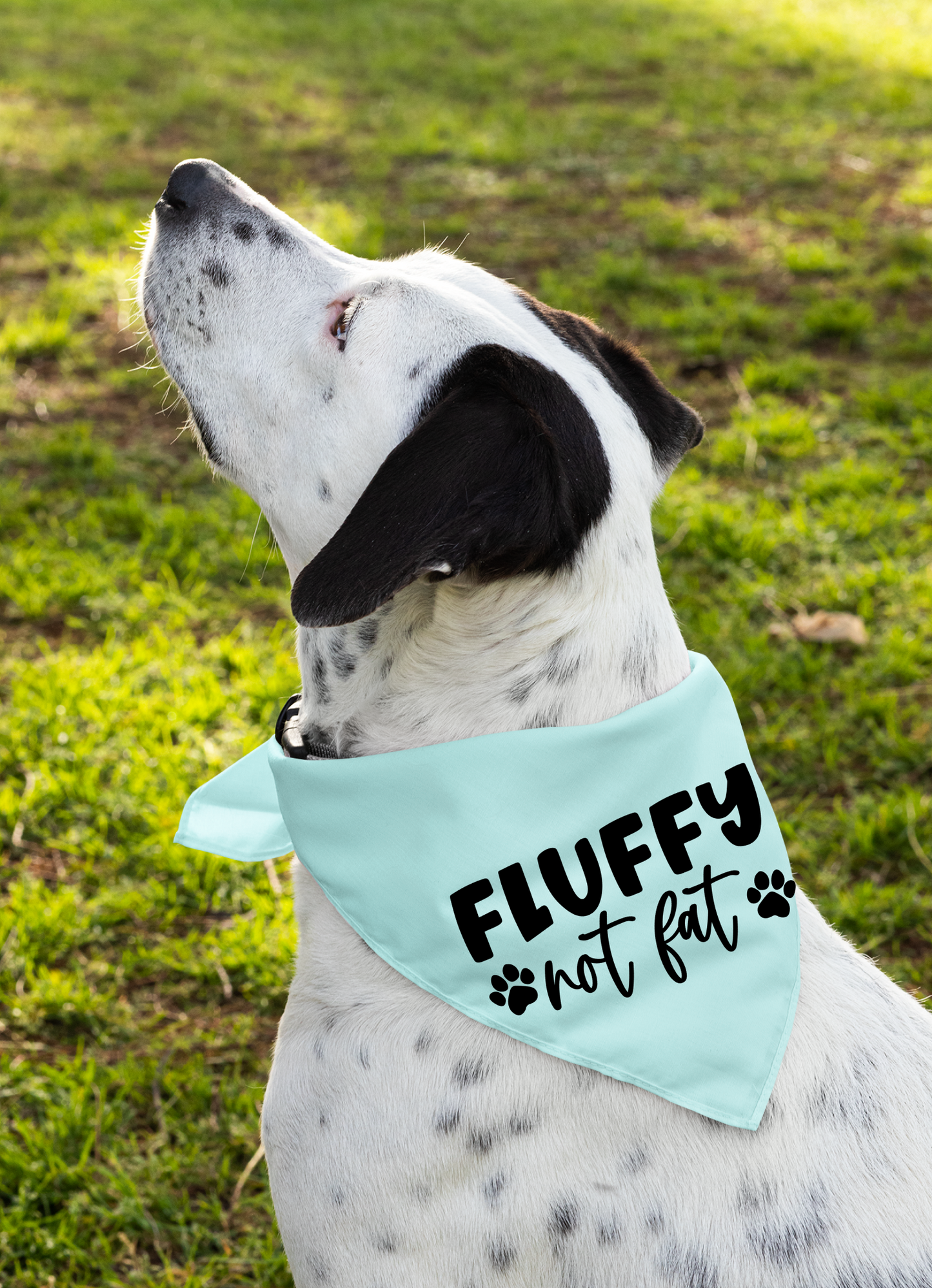 Fluffy Not Fat: Detachable Collar Dog Bandana