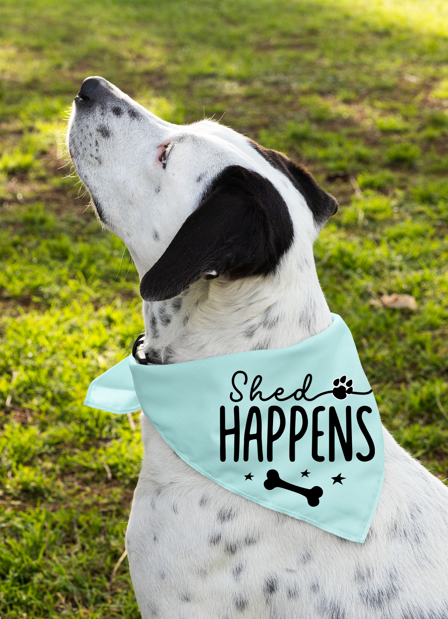 Shed Happens: Detachable Collar Dog Bandana