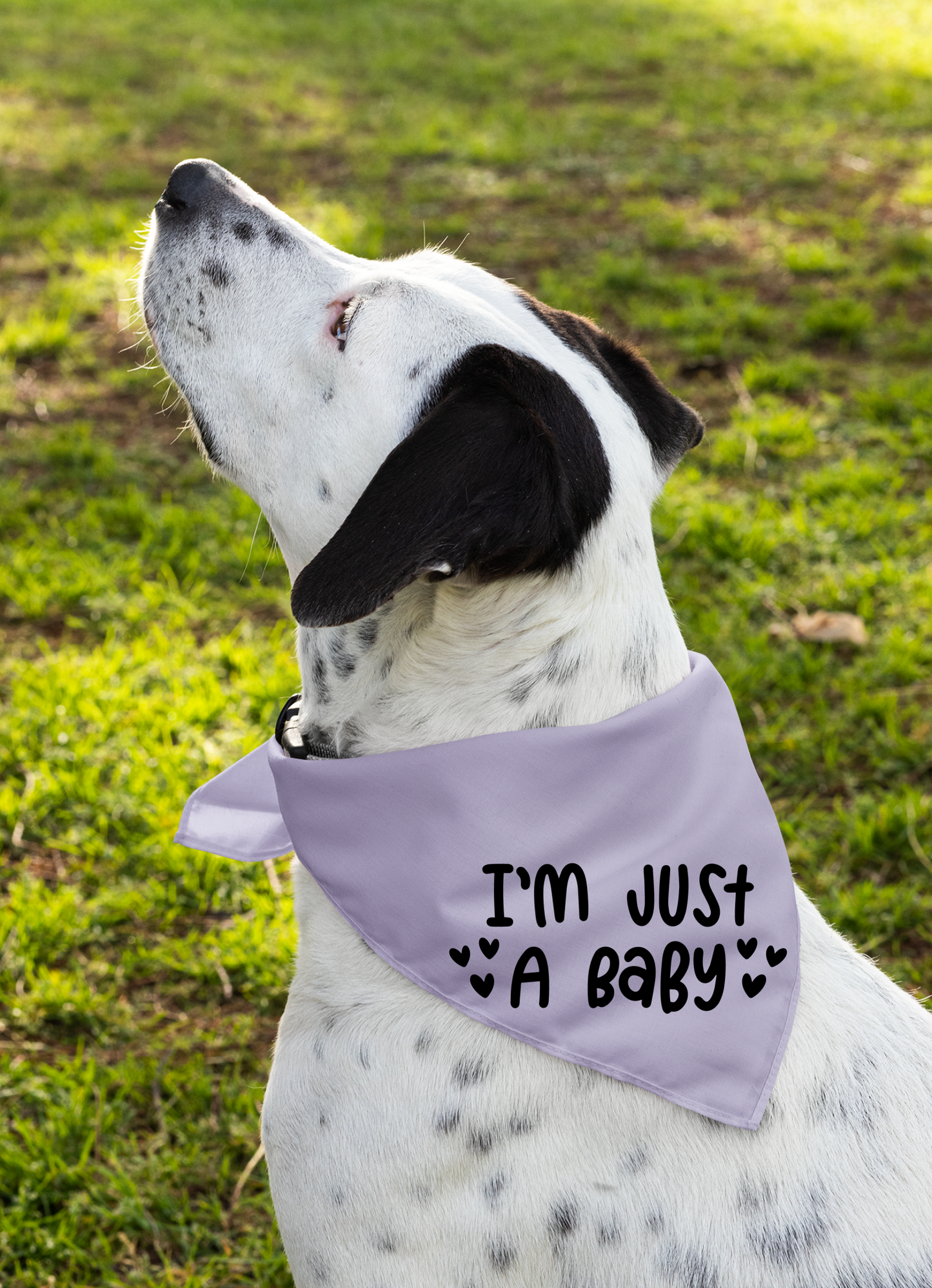 I Am Just a Baby Dog Bandana | Cute Pet Accessory for Puppies & Dogs