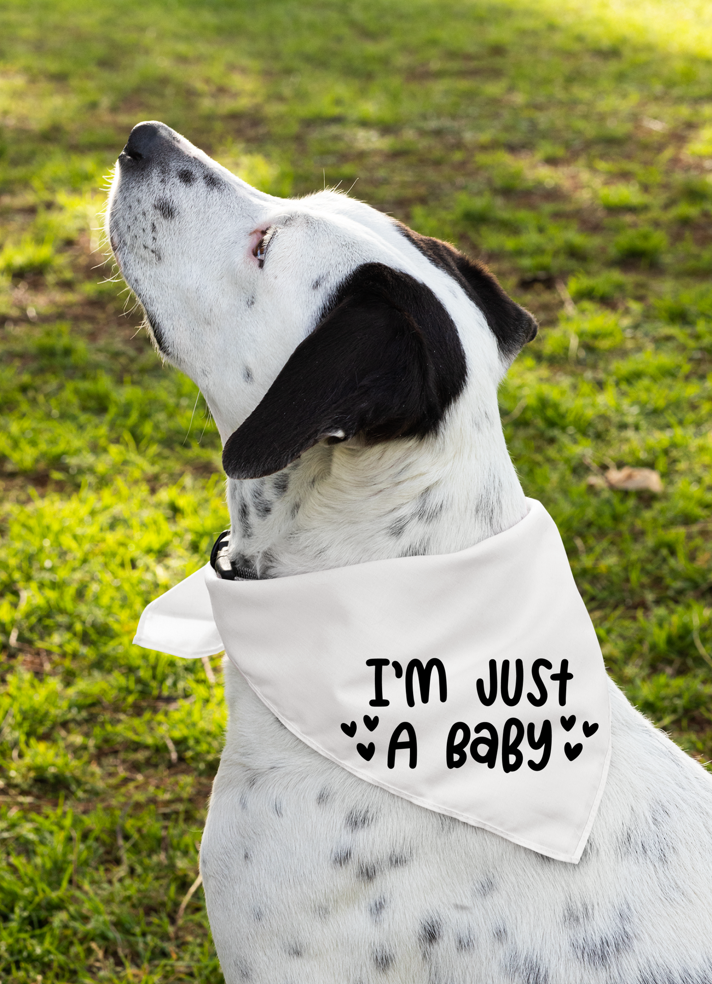 I Am Just a Baby Dog Bandana | Cute Pet Accessory for Puppies & Dogs