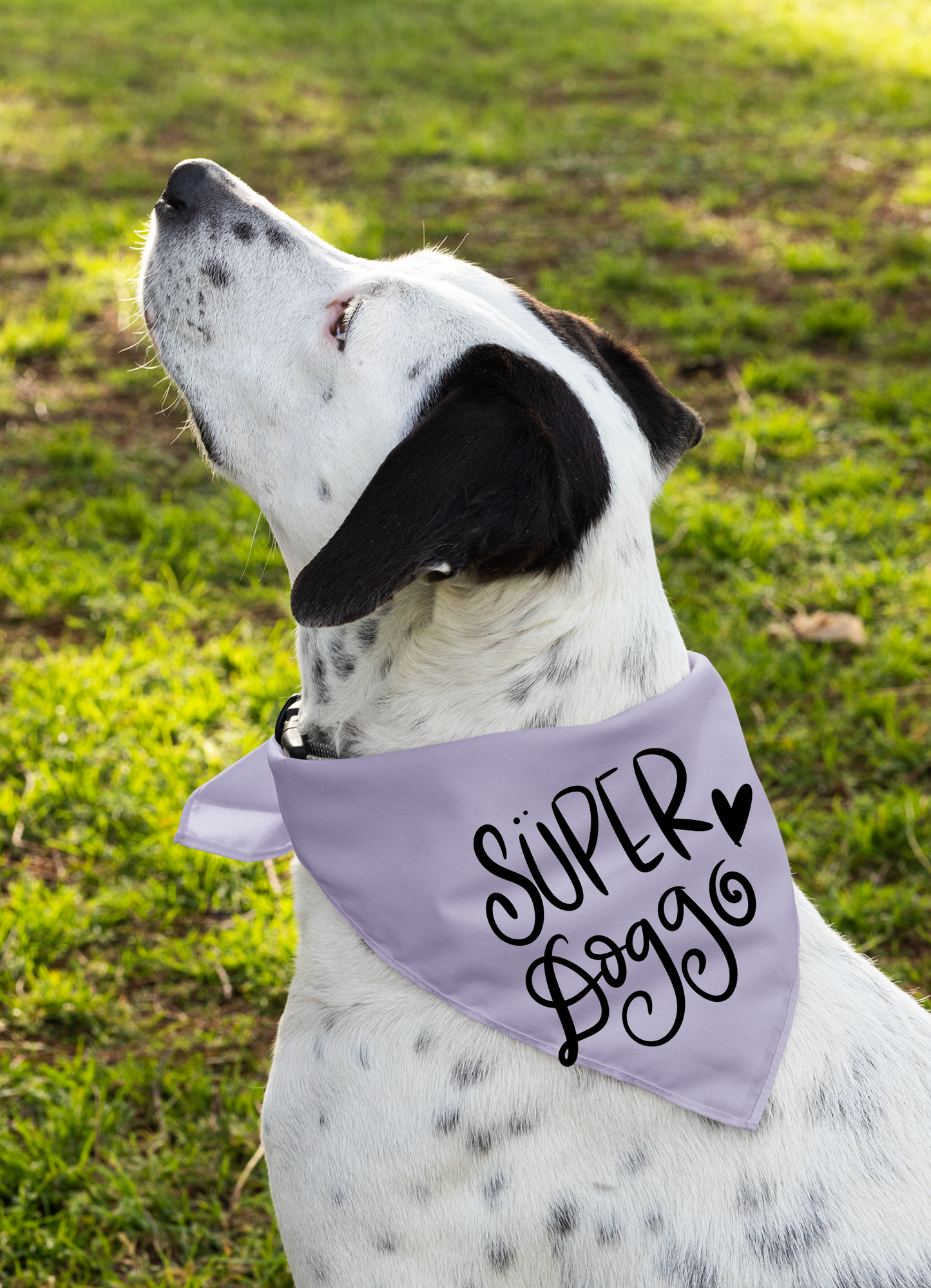 Super Doggo Dog Banda  | Cute Pet Accessory for Puppies & Dogs