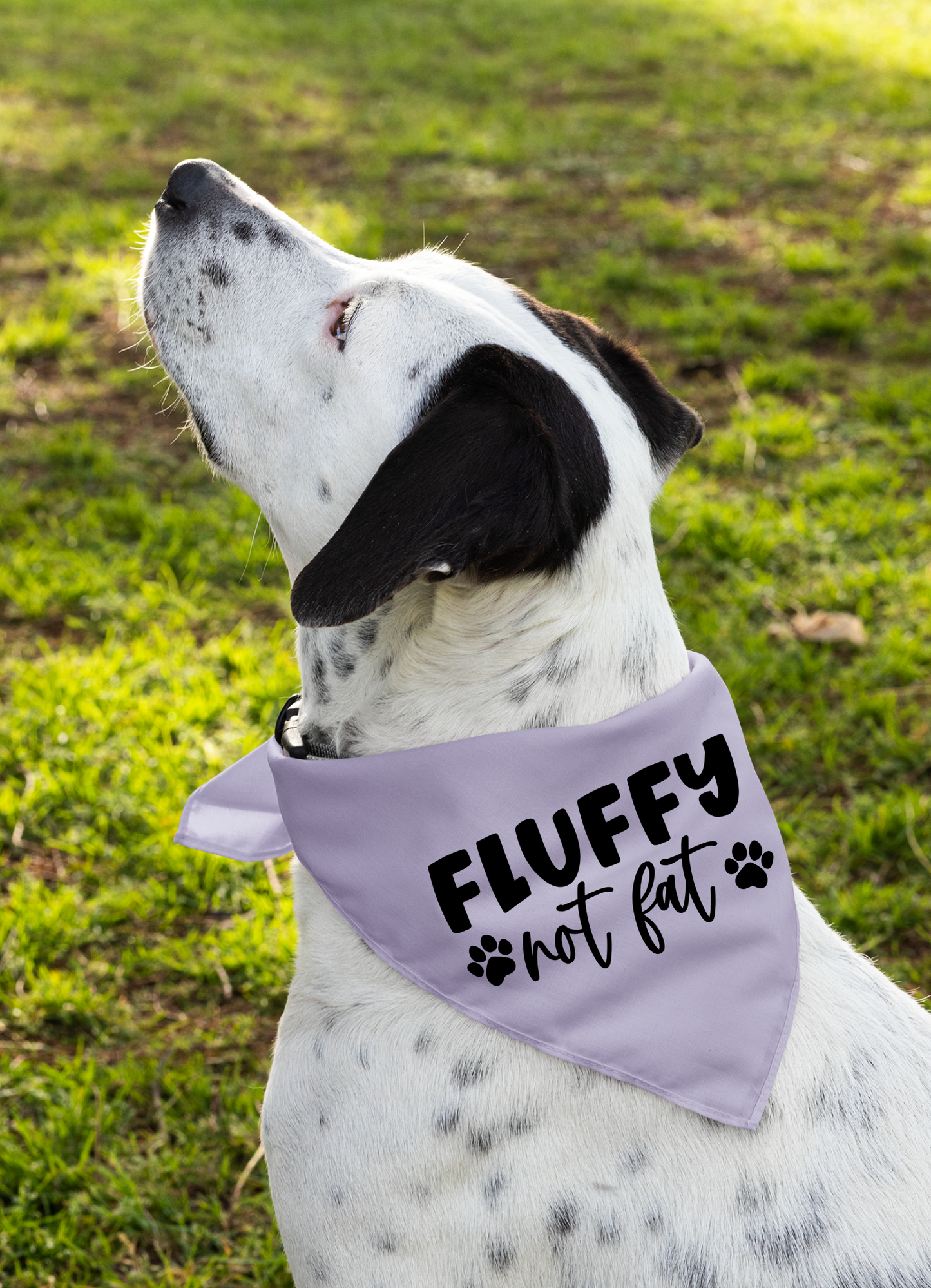 Fluffy Not Fat: Detachable Collar Dog Bandana
