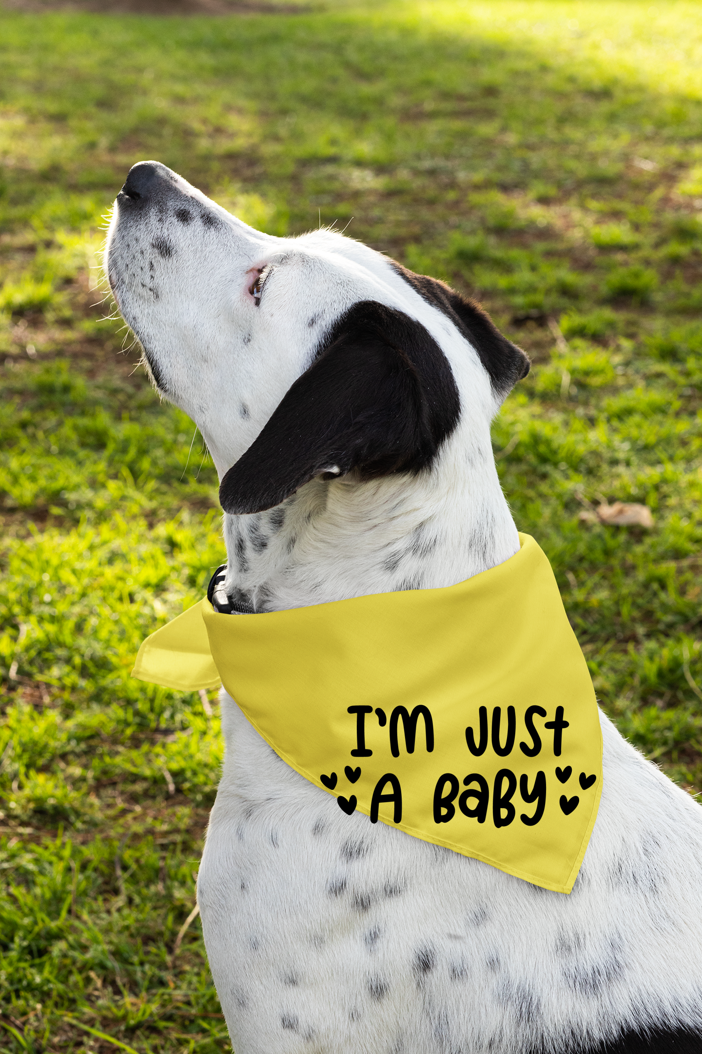 I Am Just a Baby Dog Bandana | Cute Pet Accessory for Puppies & Dogs