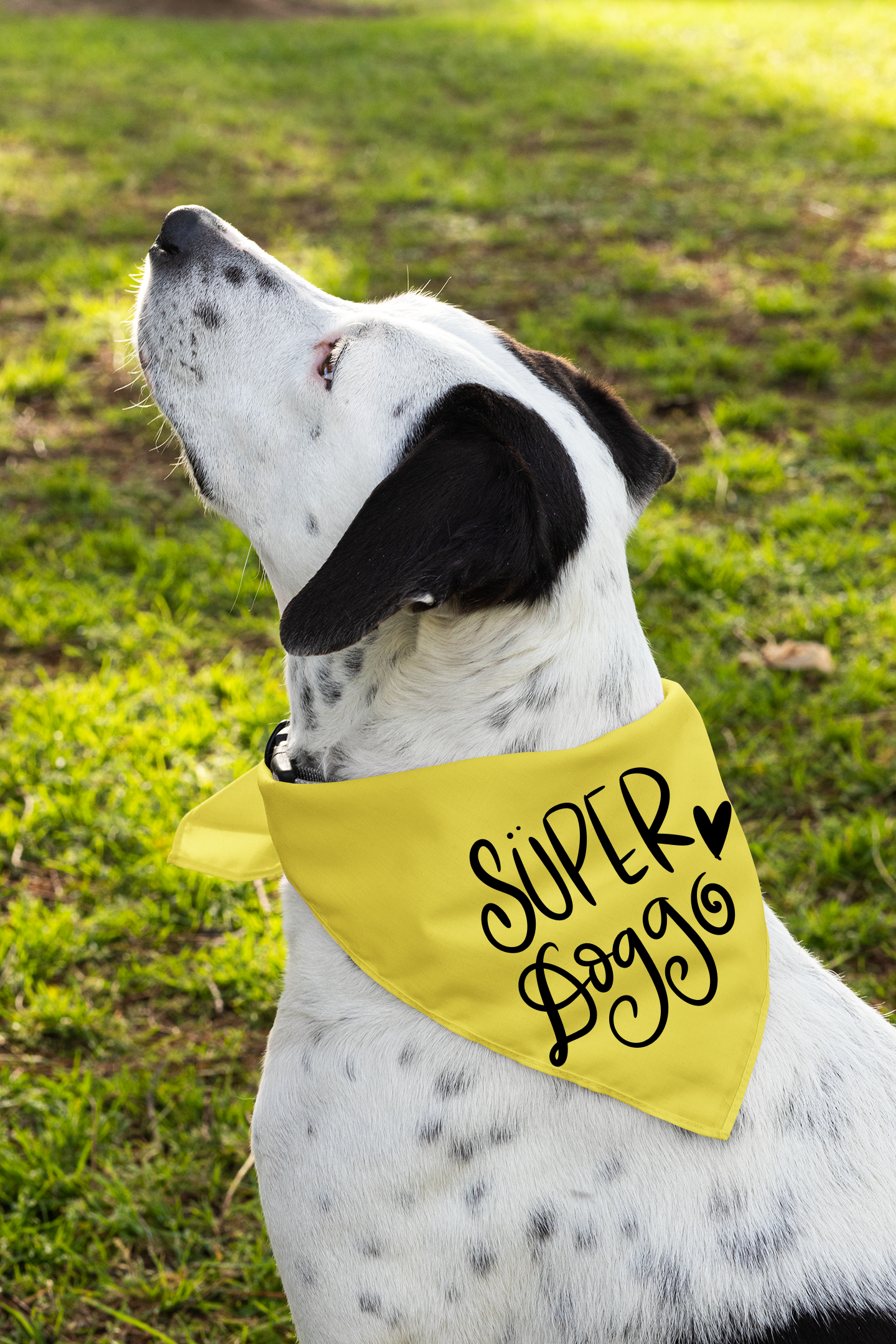 Super Doggo Dog Banda  | Cute Pet Accessory for Puppies & Dogs