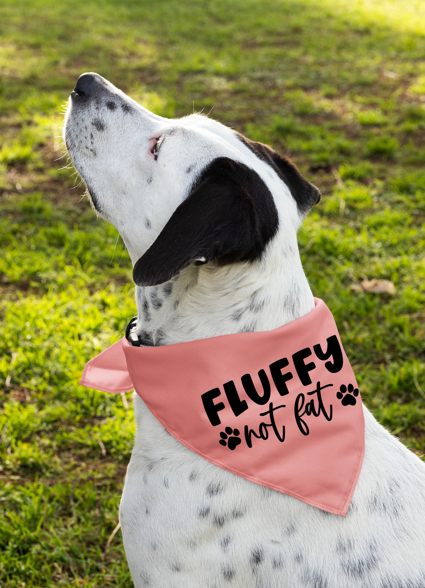 Fluffy Not Fat: Detachable Collar Dog Bandana