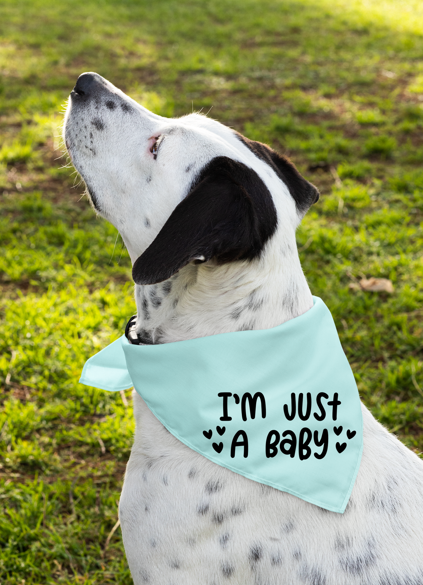 I Am Just a Baby Dog Bandana | Cute Pet Accessory for Puppies & Dogs