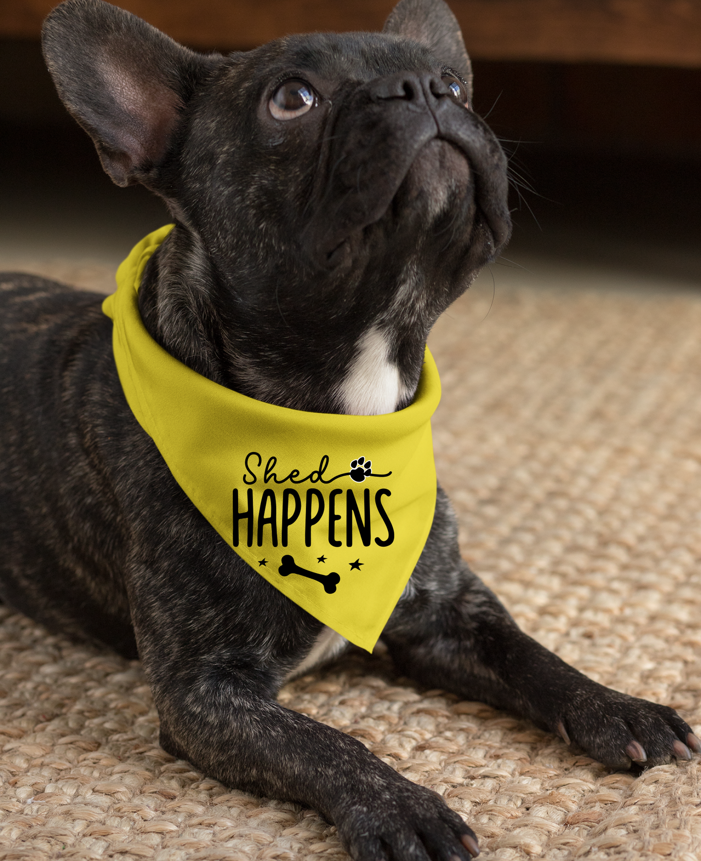 Shed Happens: Detachable Collar Dog Bandana