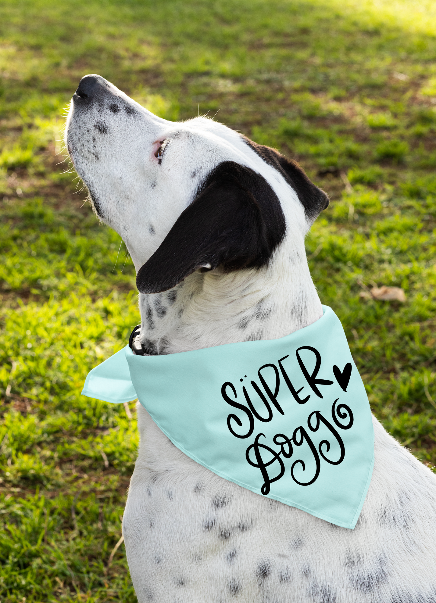 Super Doggo Dog Banda  | Cute Pet Accessory for Puppies & Dogs