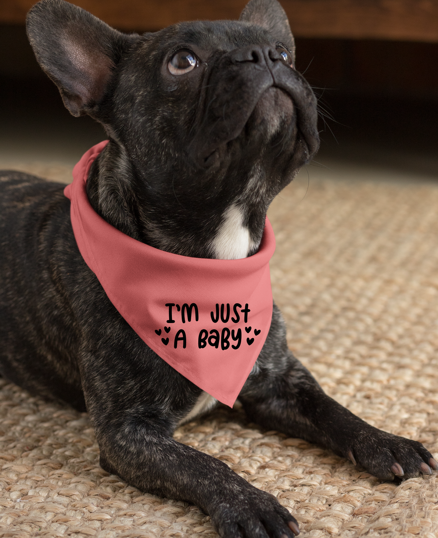 I Am Just a Baby Dog Bandana | Cute Pet Accessory for Puppies & Dogs