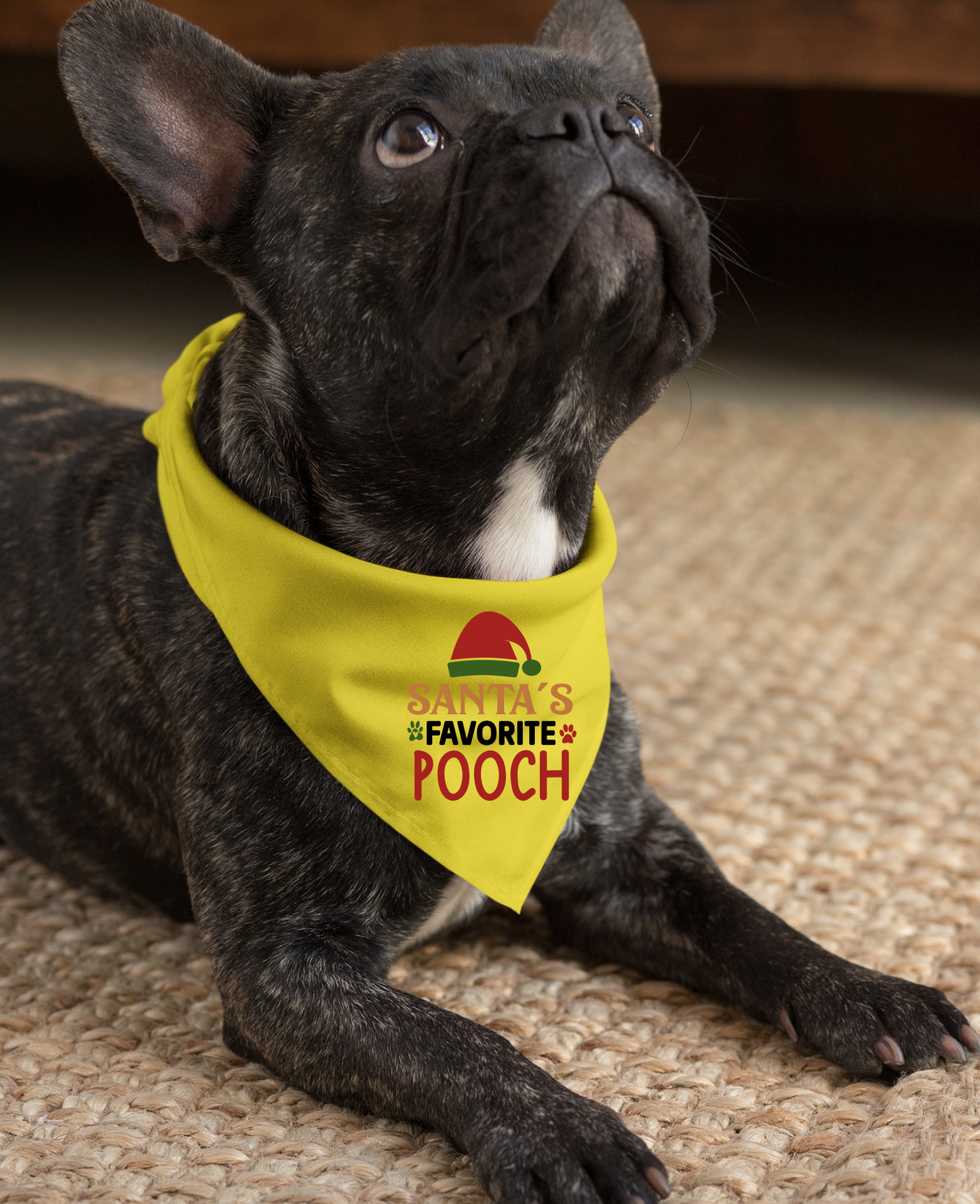 Santa's Favorite Pooch - Festive Dog Bandana