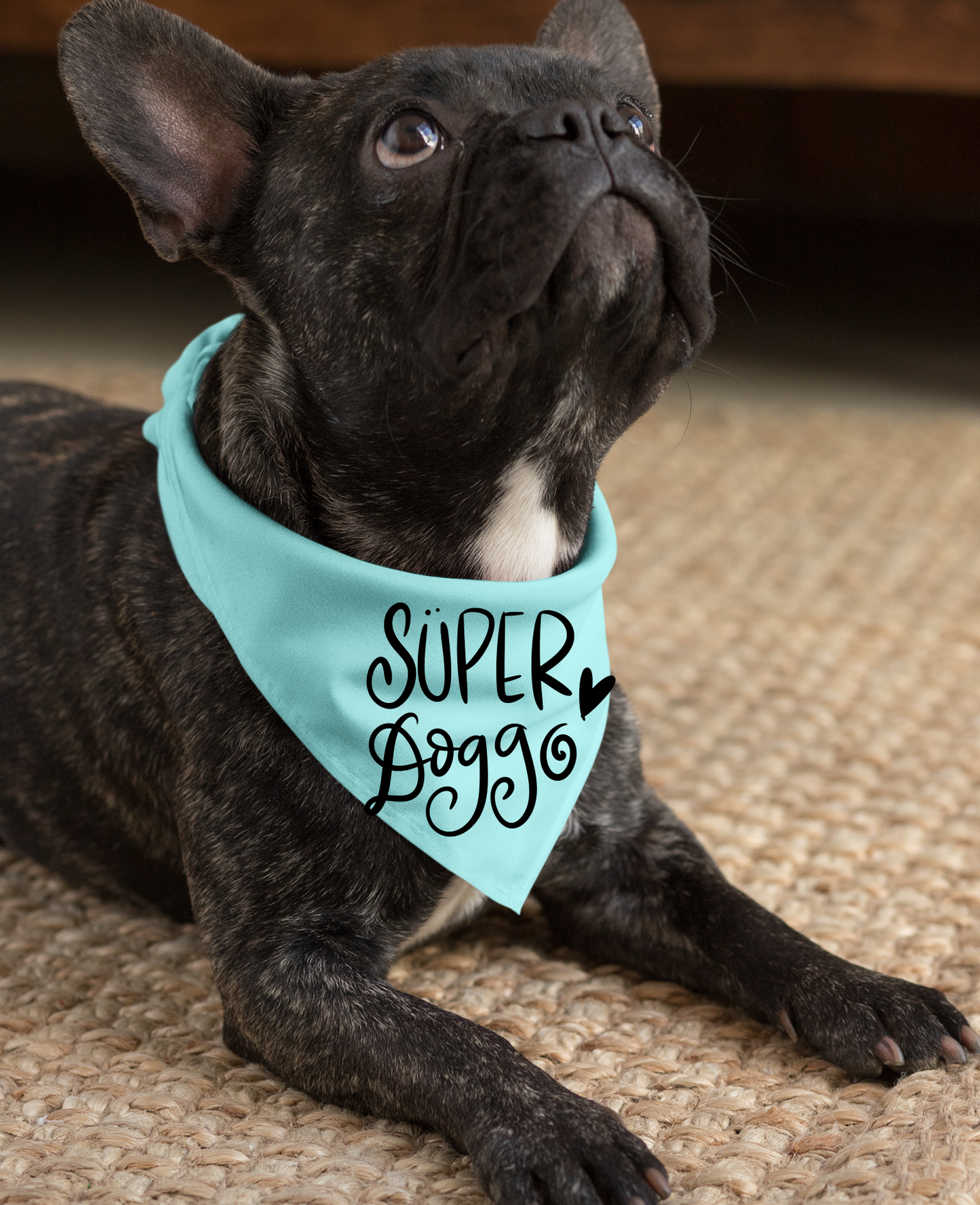 Super Doggo Dog Banda  | Cute Pet Accessory for Puppies & Dogs