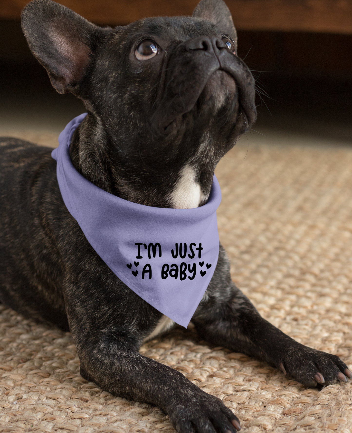 I Am Just a Baby Dog Bandana | Cute Pet Accessory for Puppies & Dogs