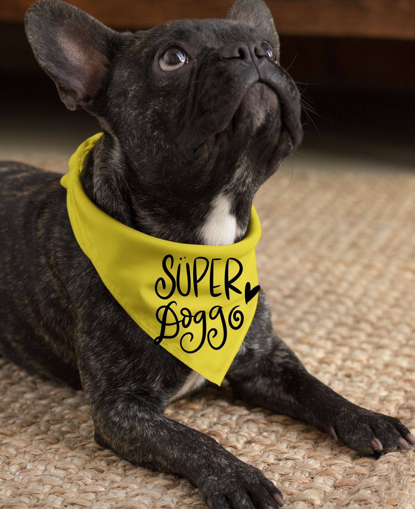 Super Doggo Dog Banda  | Cute Pet Accessory for Puppies & Dogs