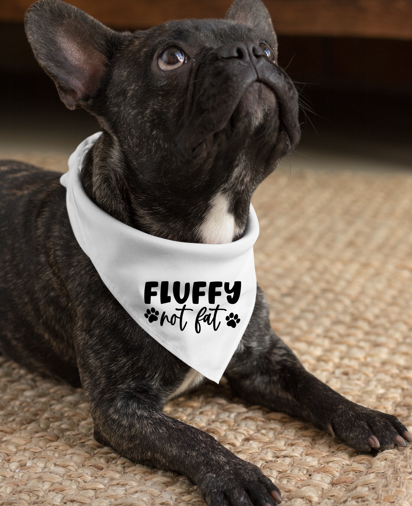 Fluffy Not Fat: Detachable Collar Dog Bandana