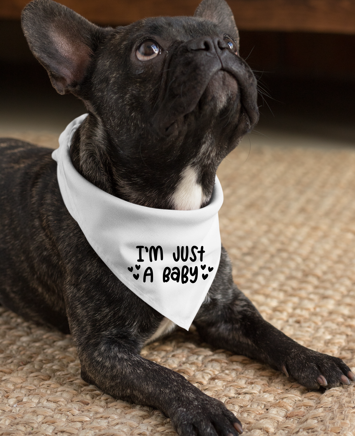 I Am Just a Baby Dog Bandana | Cute Pet Accessory for Puppies & Dogs