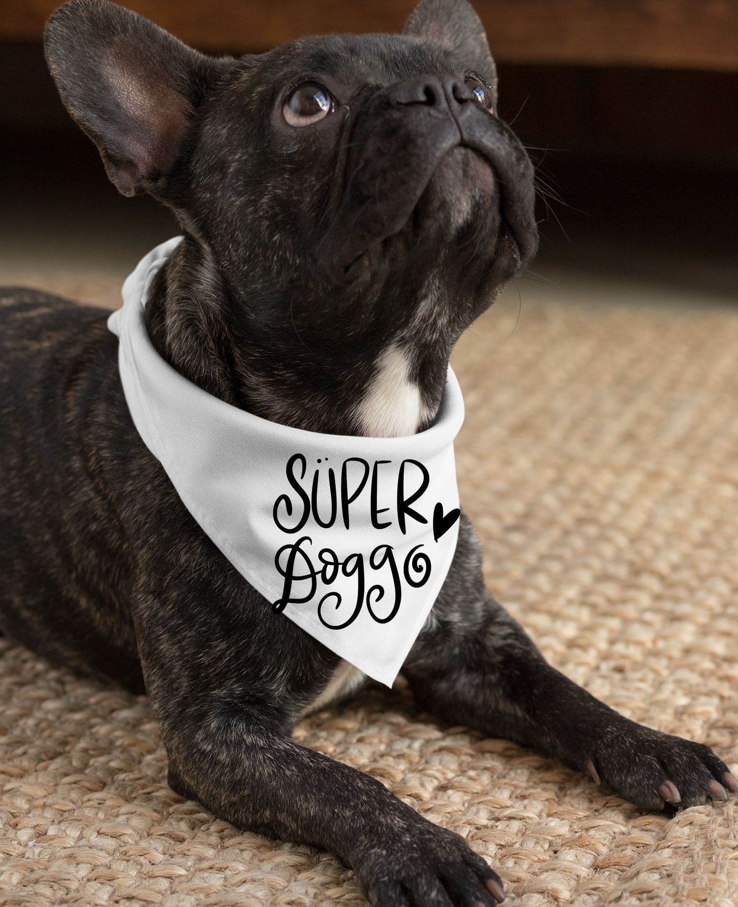 Super Doggo Dog Banda  | Cute Pet Accessory for Puppies & Dogs