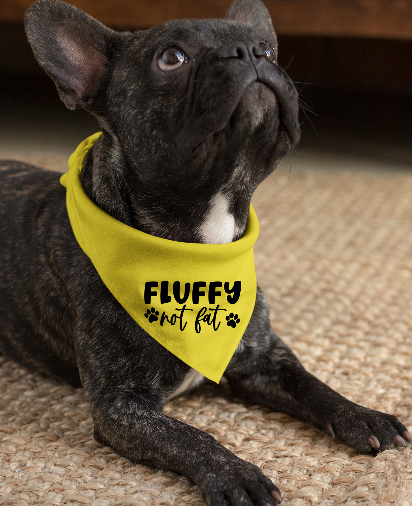 Fluffy Not Fat: Detachable Collar Dog Bandana