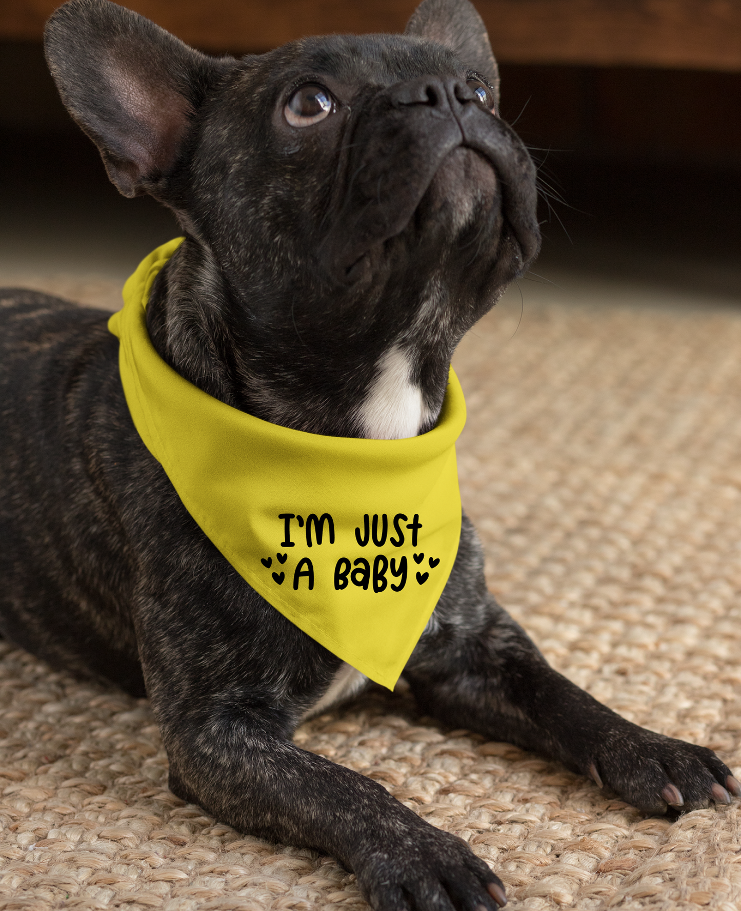 I Am Just a Baby Dog Bandana | Cute Pet Accessory for Puppies & Dogs