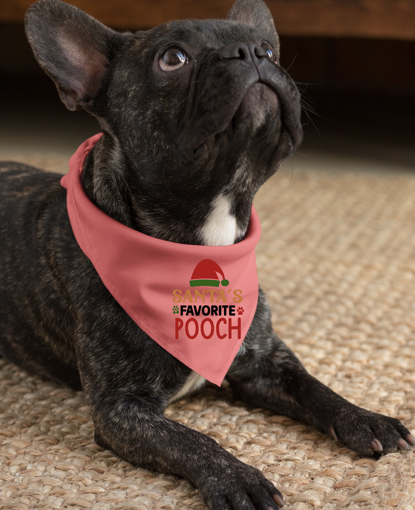 Santa's Favorite Pooch - Festive Dog Bandana