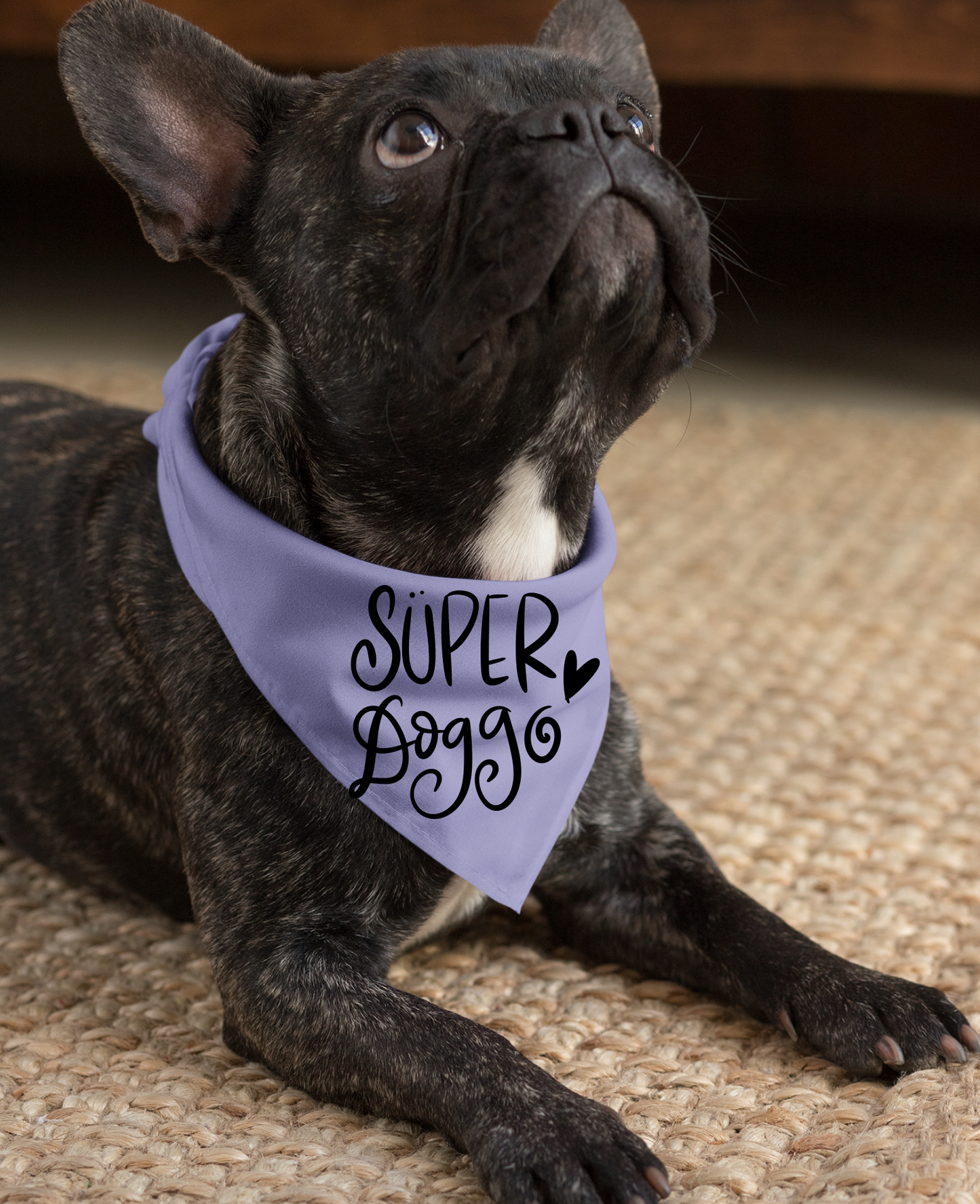 Super Doggo Dog Banda  | Cute Pet Accessory for Puppies & Dogs