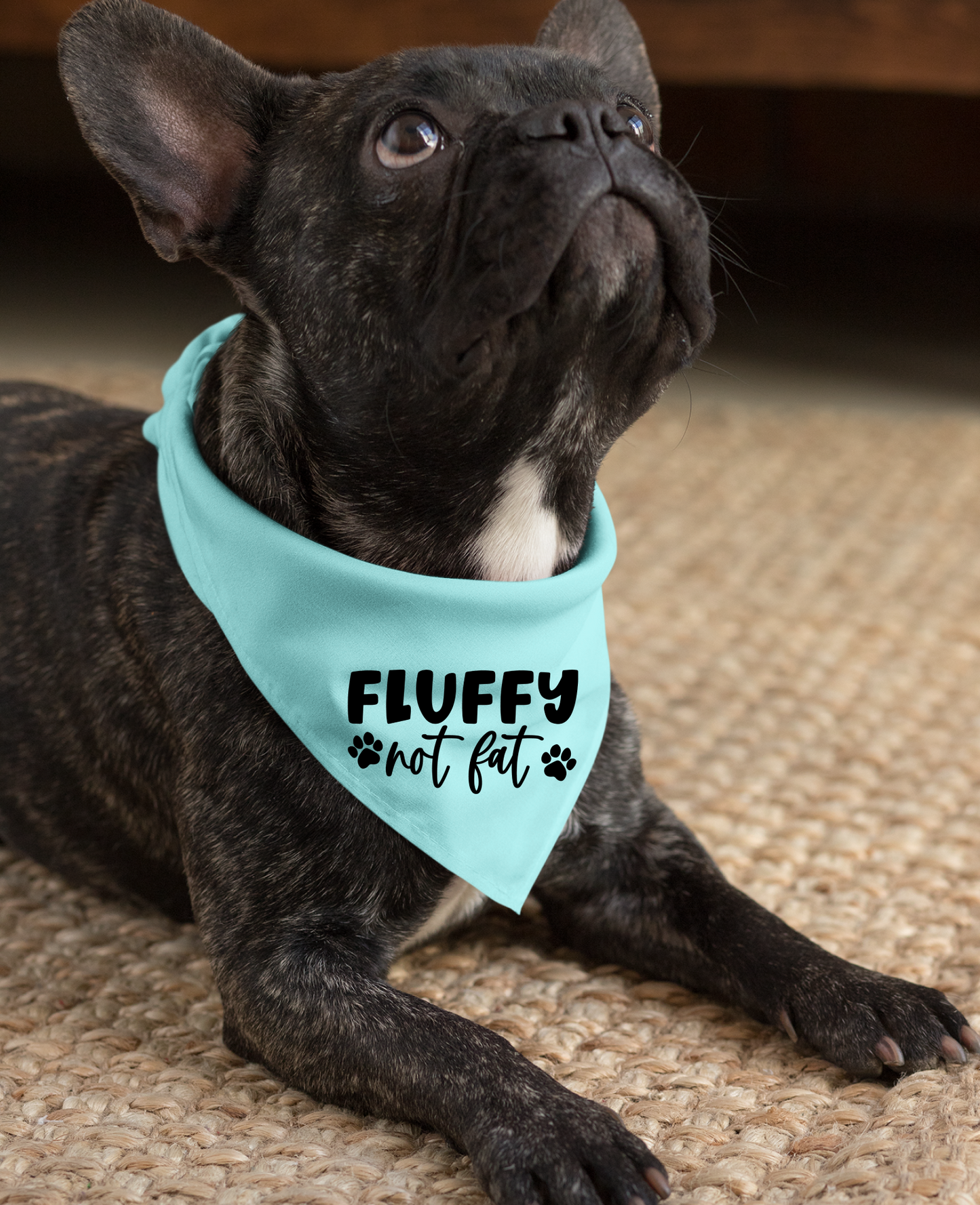 Fluffy Not Fat: Detachable Collar Dog Bandana