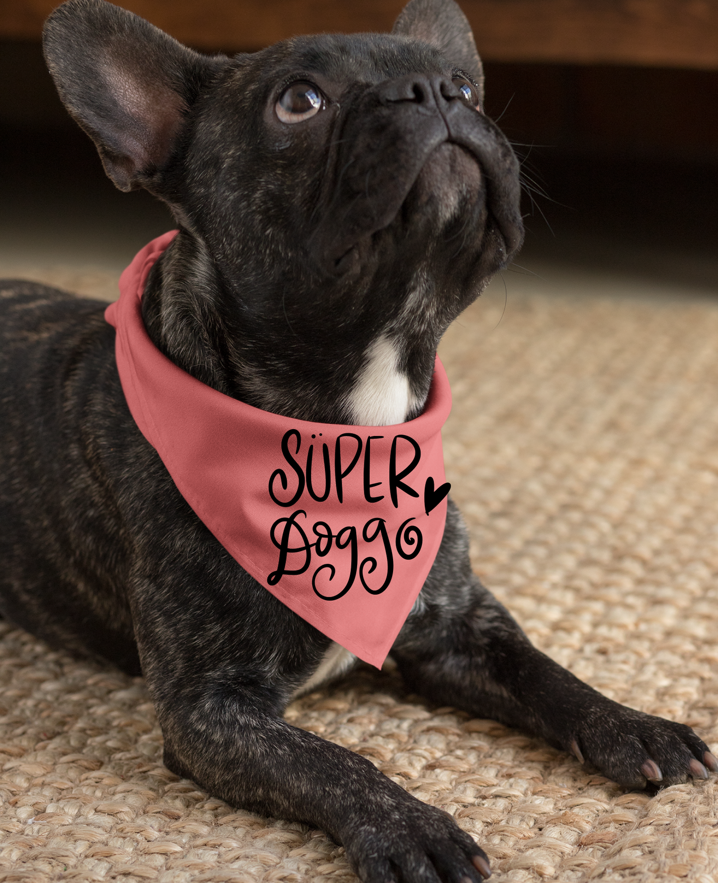 Super Doggo Dog Banda  | Cute Pet Accessory for Puppies & Dogs
