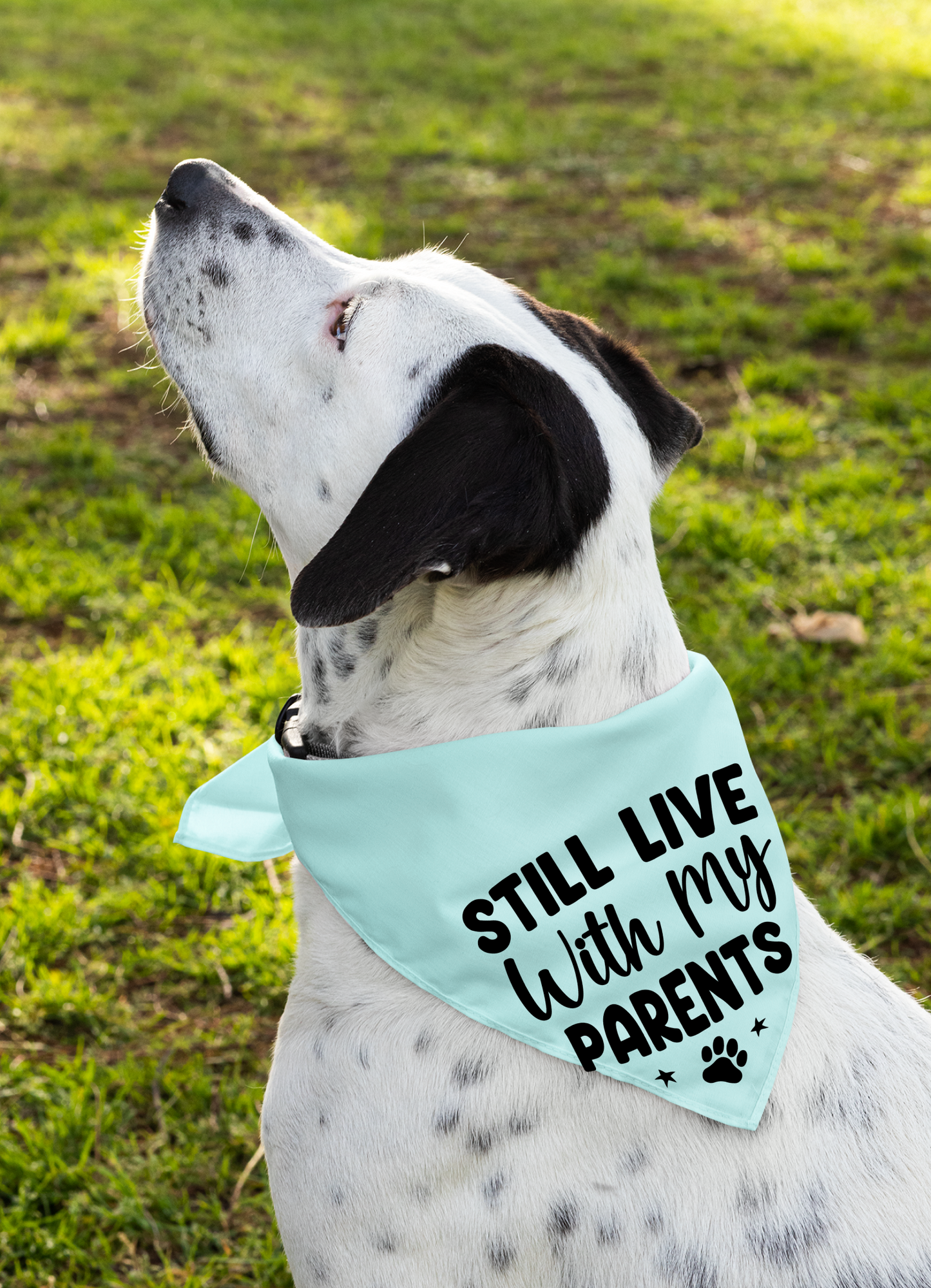 Still Live with My Parents: Detachable Collar Dog Bandana