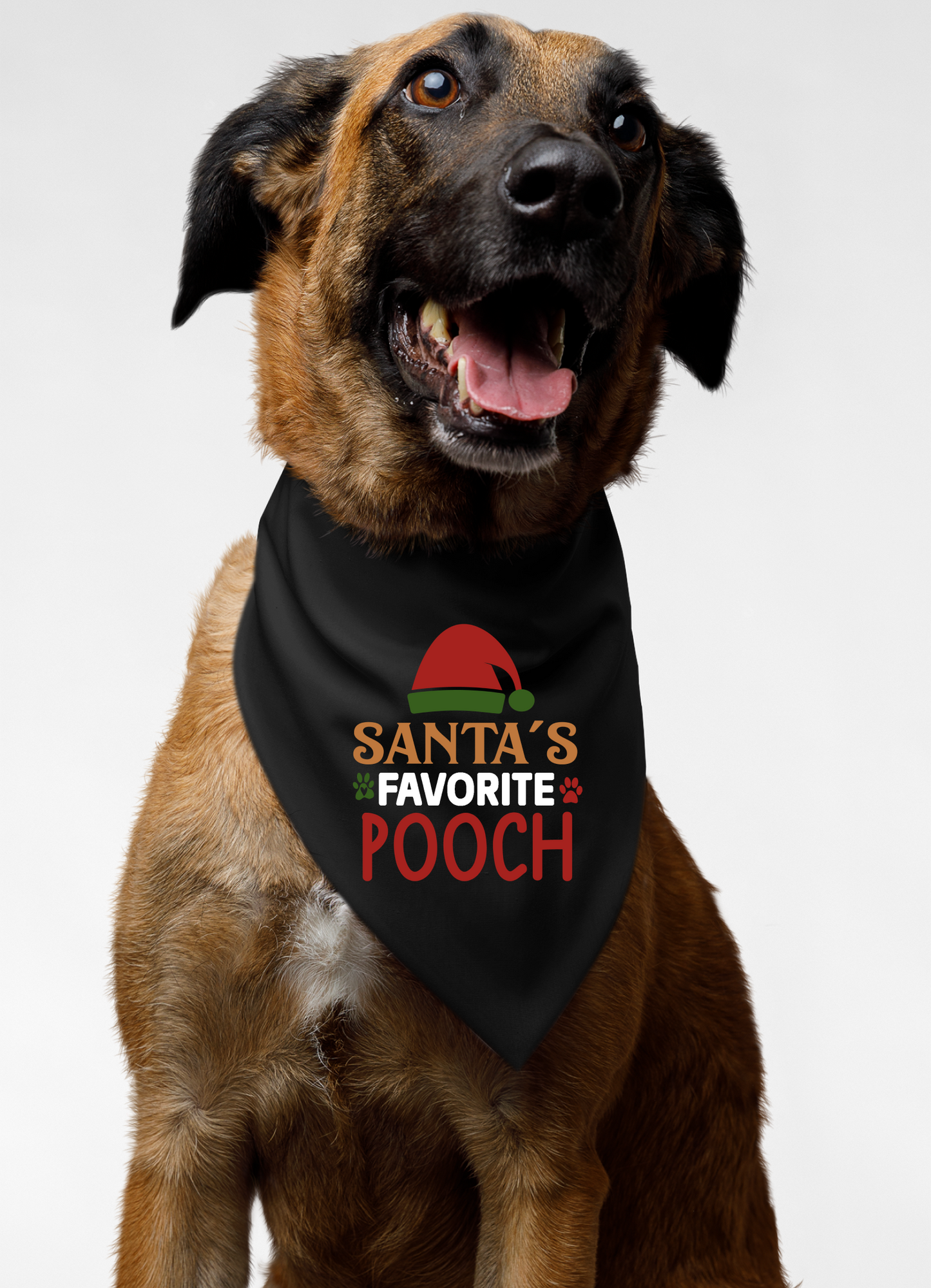 Santa's Favorite Pooch - Festive Dog Bandana