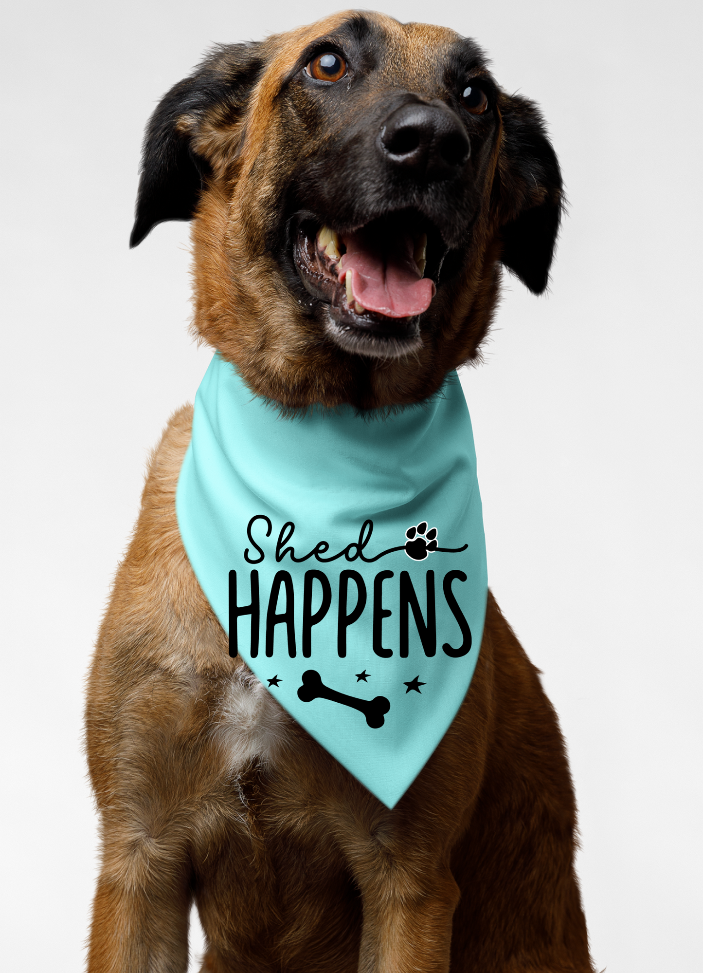 Shed Happens: Detachable Collar Dog Bandana