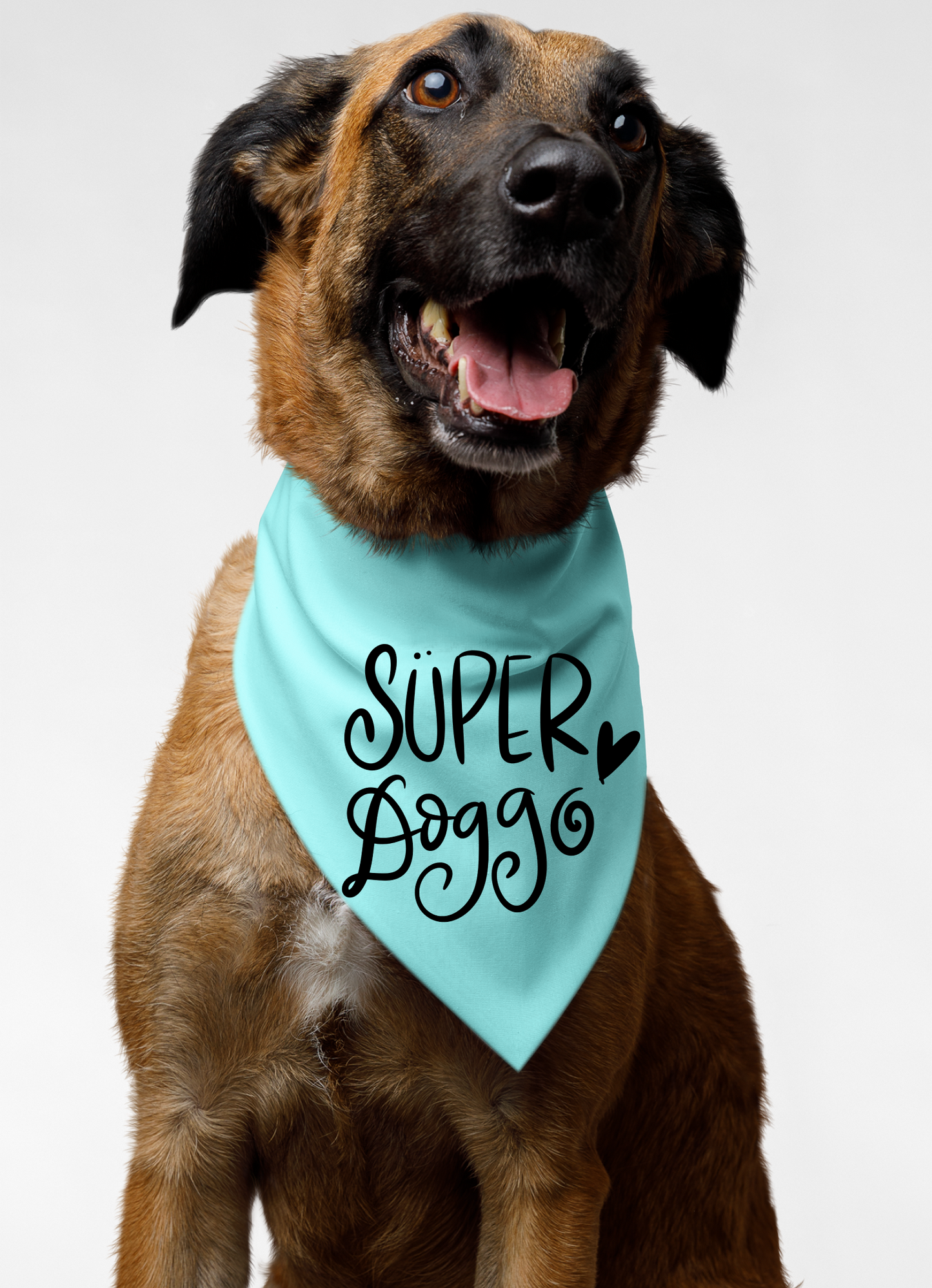 Super Doggo Dog Banda  | Cute Pet Accessory for Puppies & Dogs