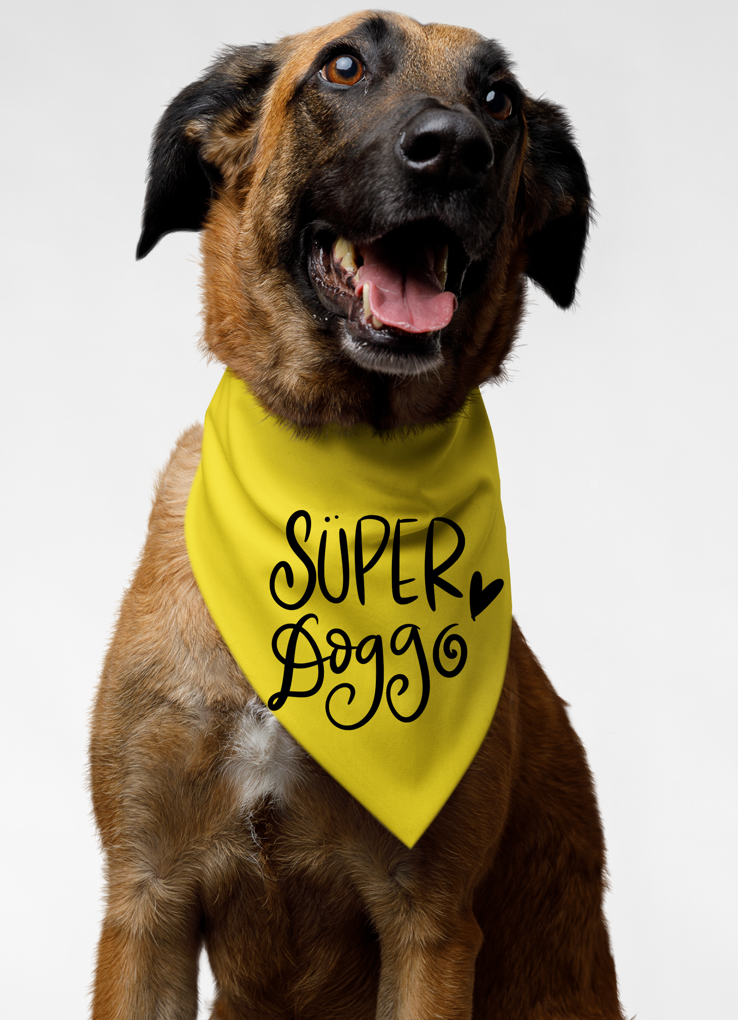 Super Doggo Dog Banda  | Cute Pet Accessory for Puppies & Dogs