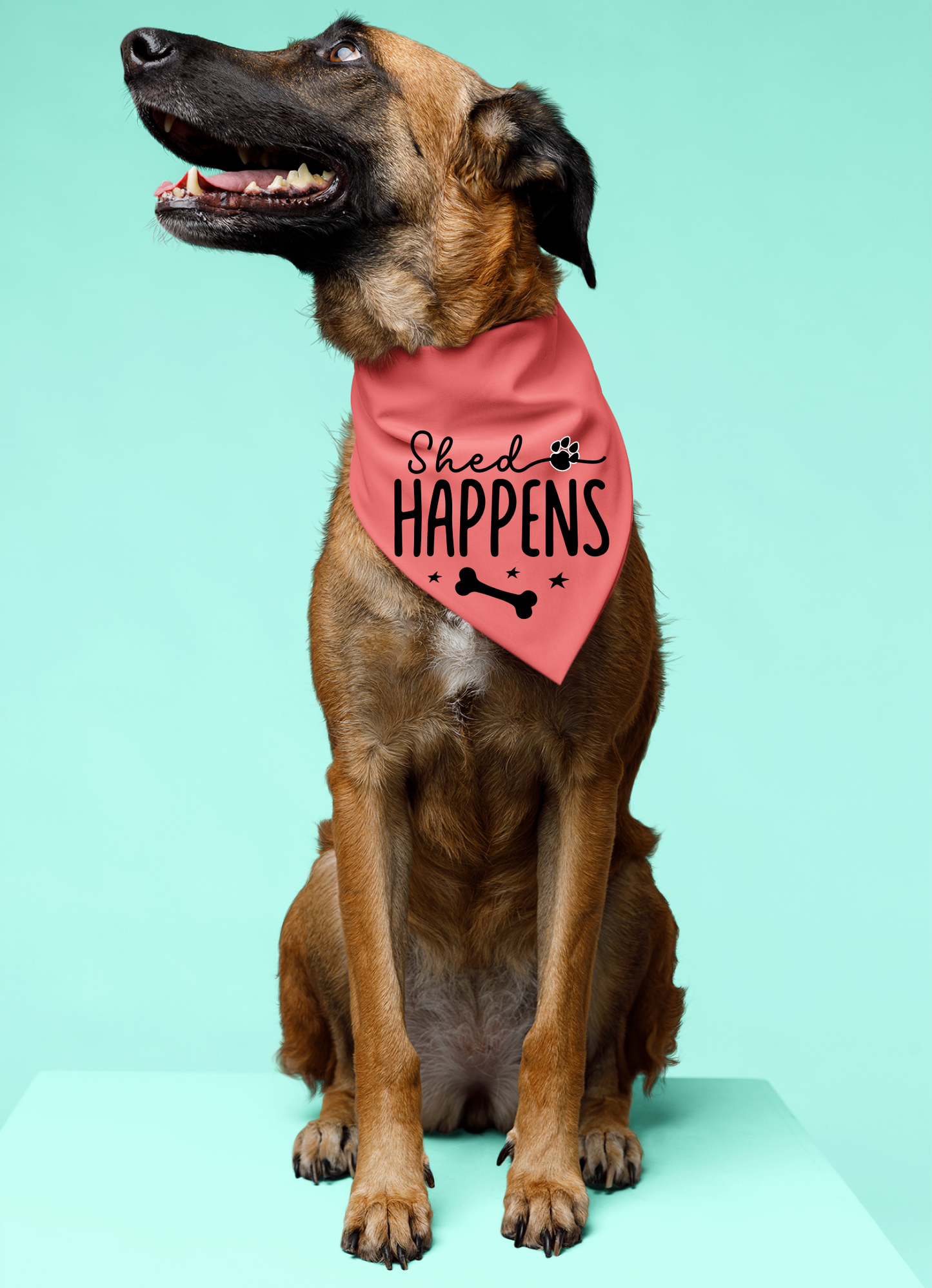 Shed Happens: Detachable Collar Dog Bandana