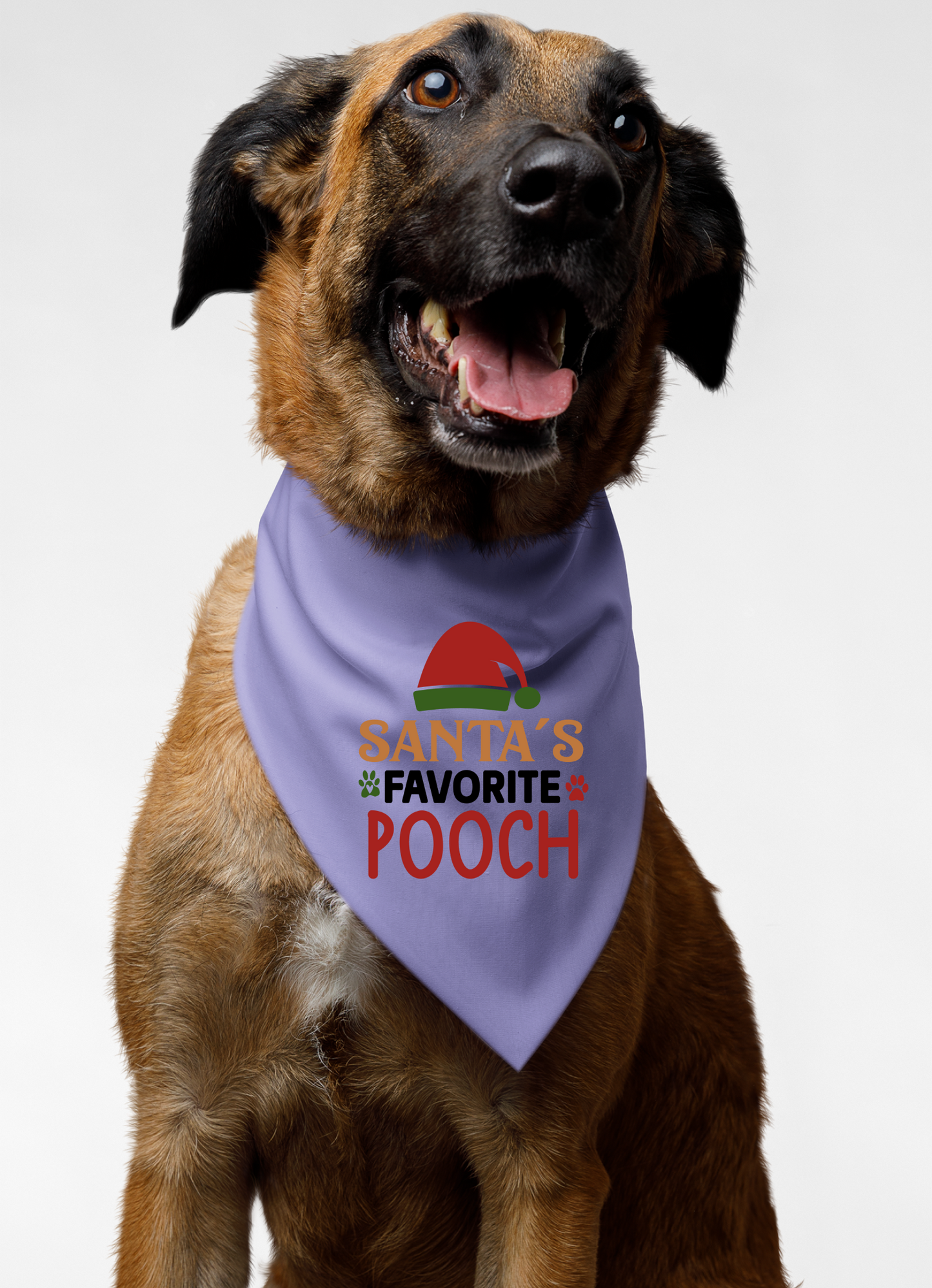 Santa's Favorite Pooch - Festive Dog Bandana
