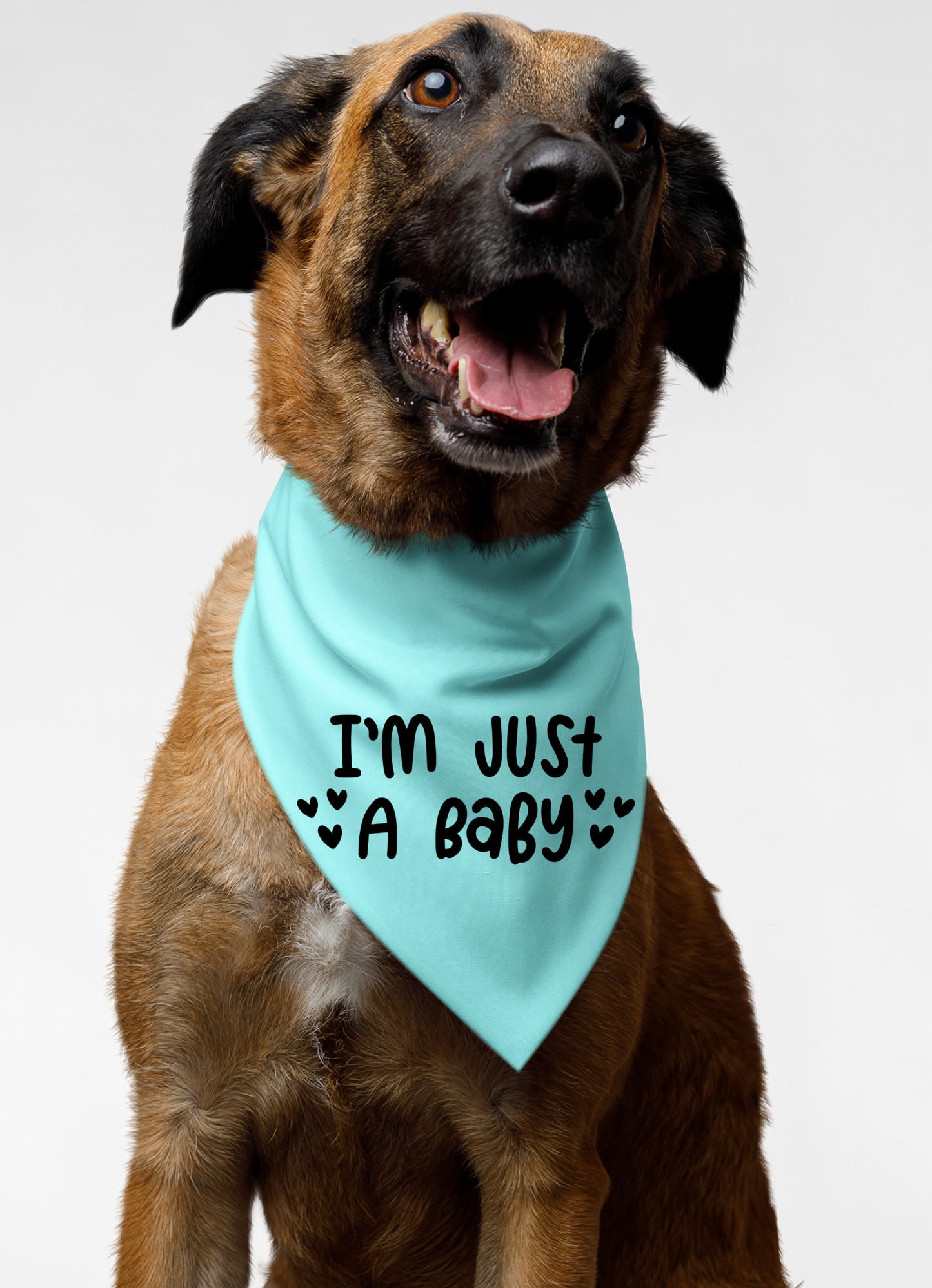 I Am Just a Baby Dog Bandana | Cute Pet Accessory for Puppies & Dogs