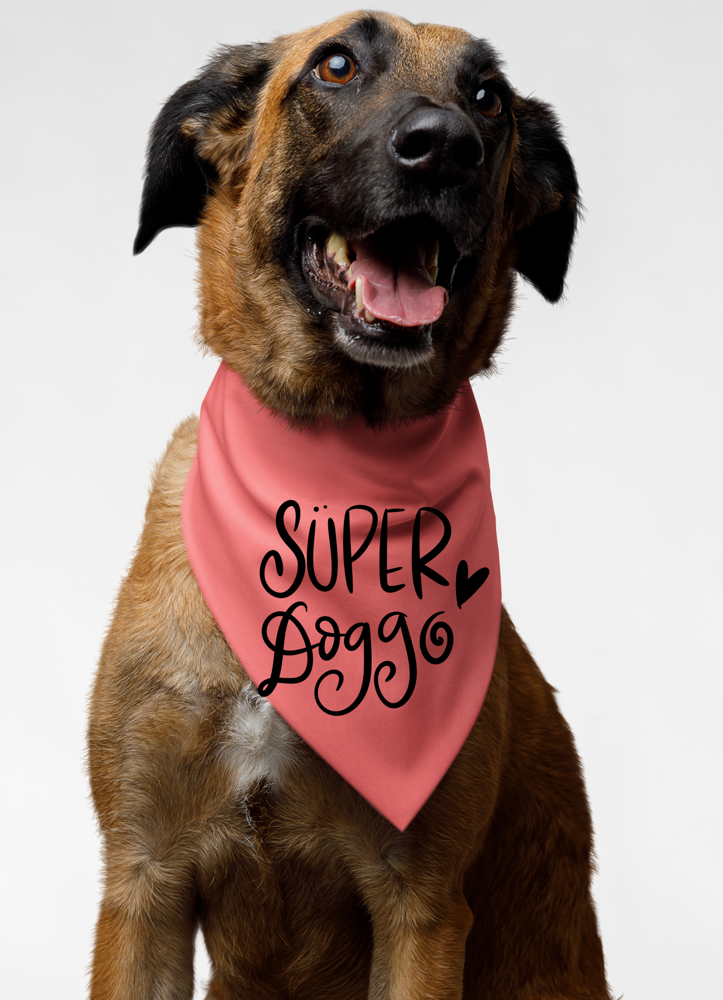 Super Doggo Dog Banda  | Cute Pet Accessory for Puppies & Dogs