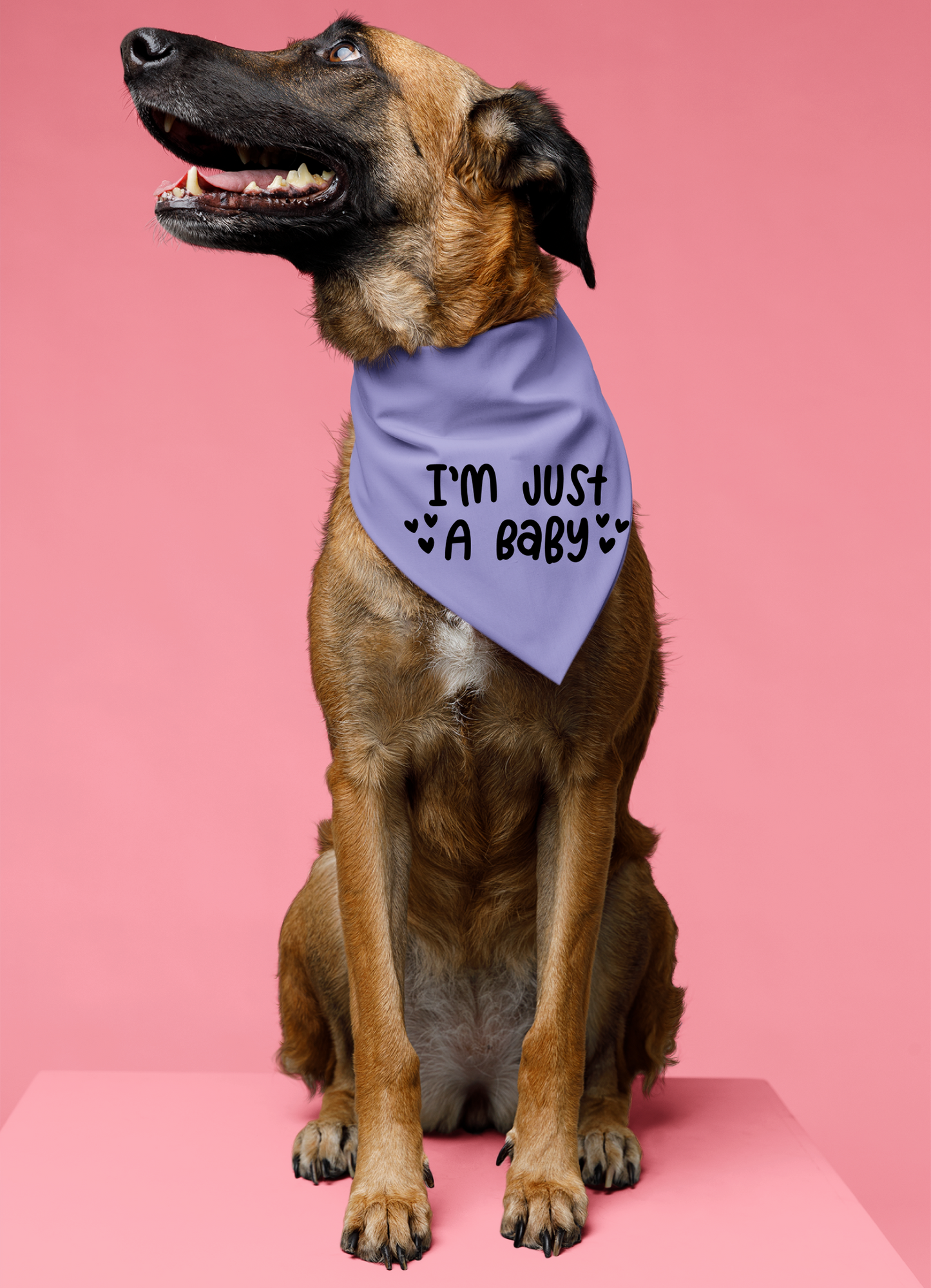 I Am Just a Baby Dog Bandana | Cute Pet Accessory for Puppies & Dogs