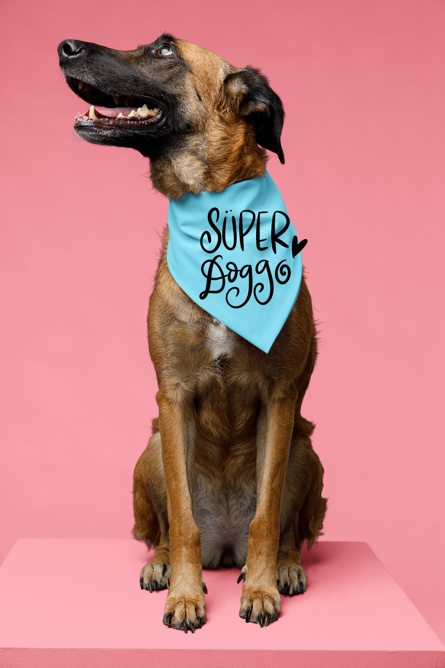 Super Doggo Dog Banda  | Cute Pet Accessory for Puppies & Dogs