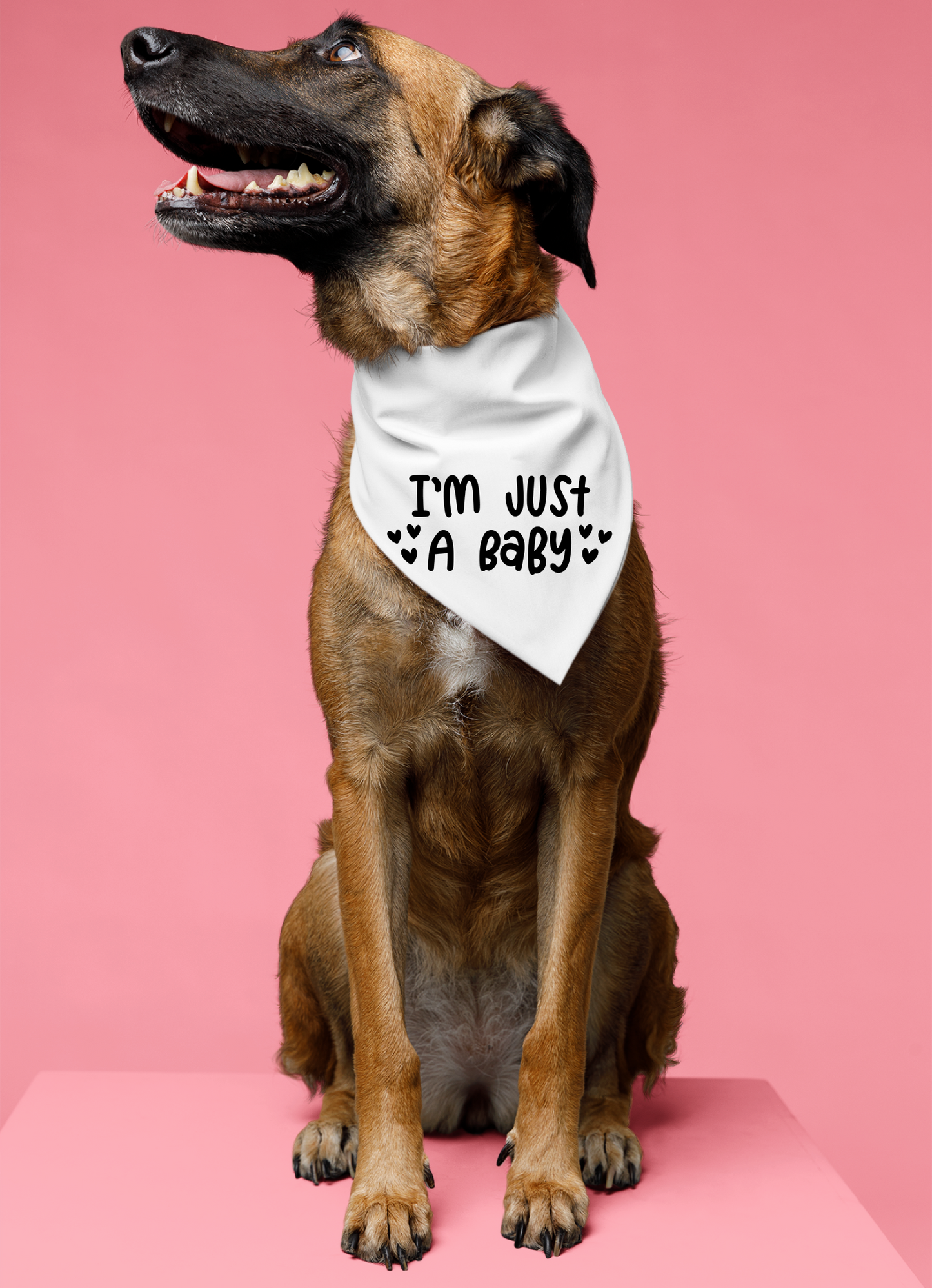 I Am Just a Baby Dog Bandana | Cute Pet Accessory for Puppies & Dogs