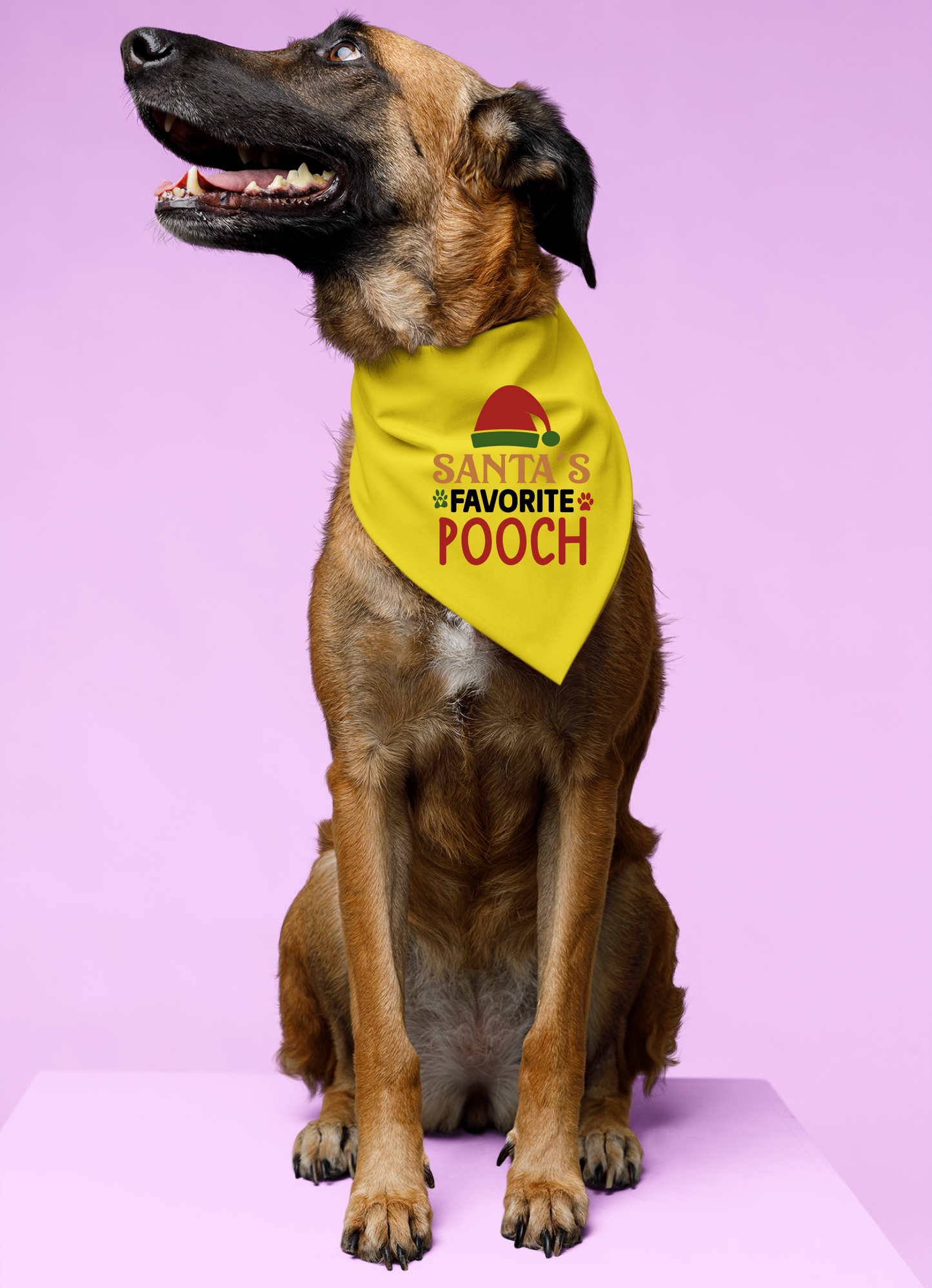 Santa's Favorite Pooch - Festive Dog Bandana