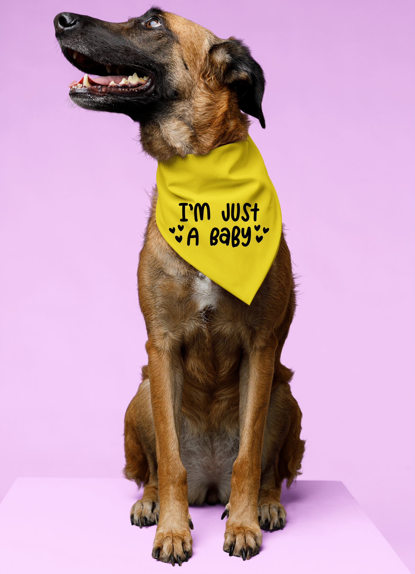 I Am Just a Baby Dog Bandana | Cute Pet Accessory for Puppies & Dogs