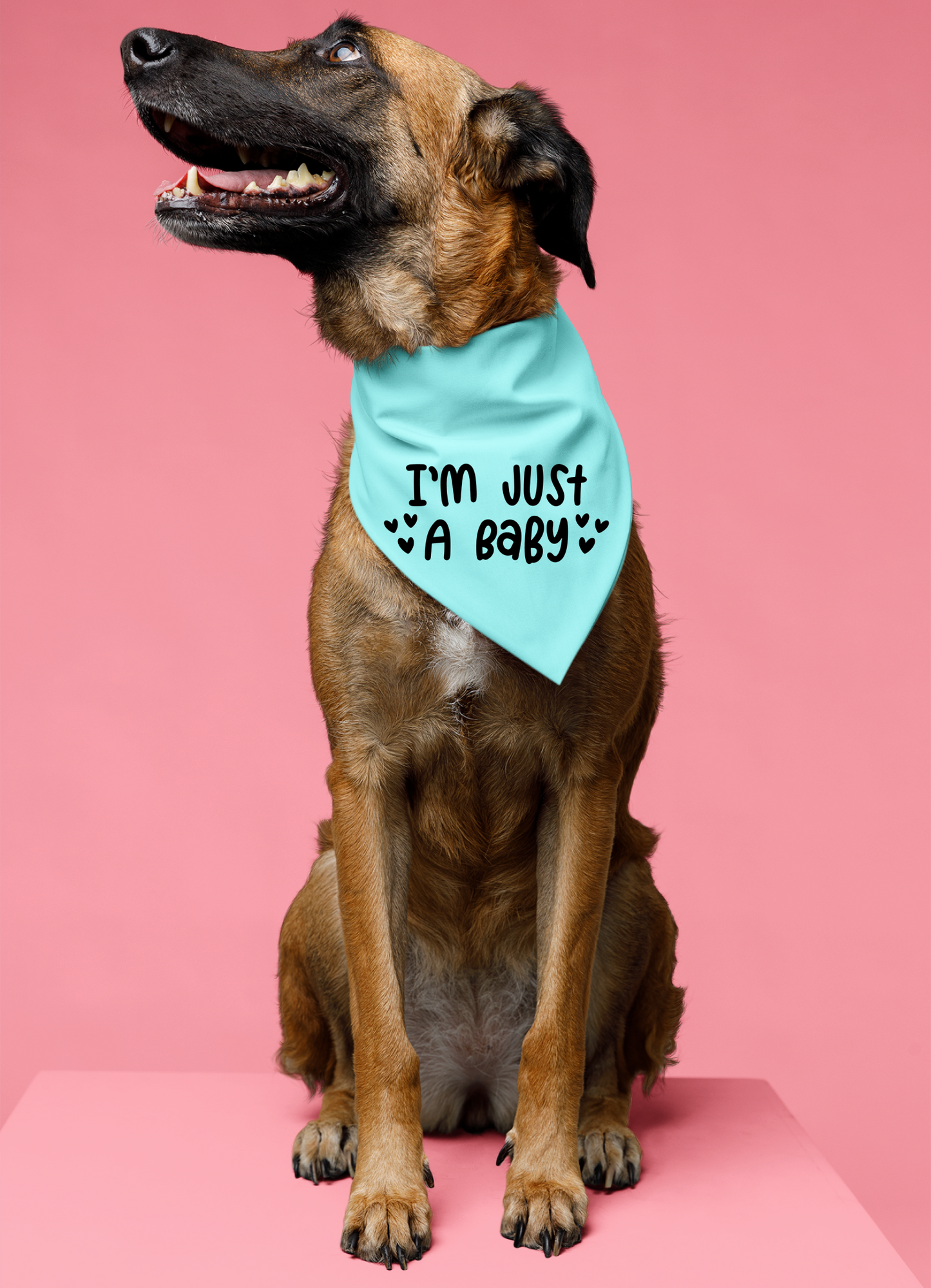 I Am Just a Baby Dog Bandana | Cute Pet Accessory for Puppies & Dogs