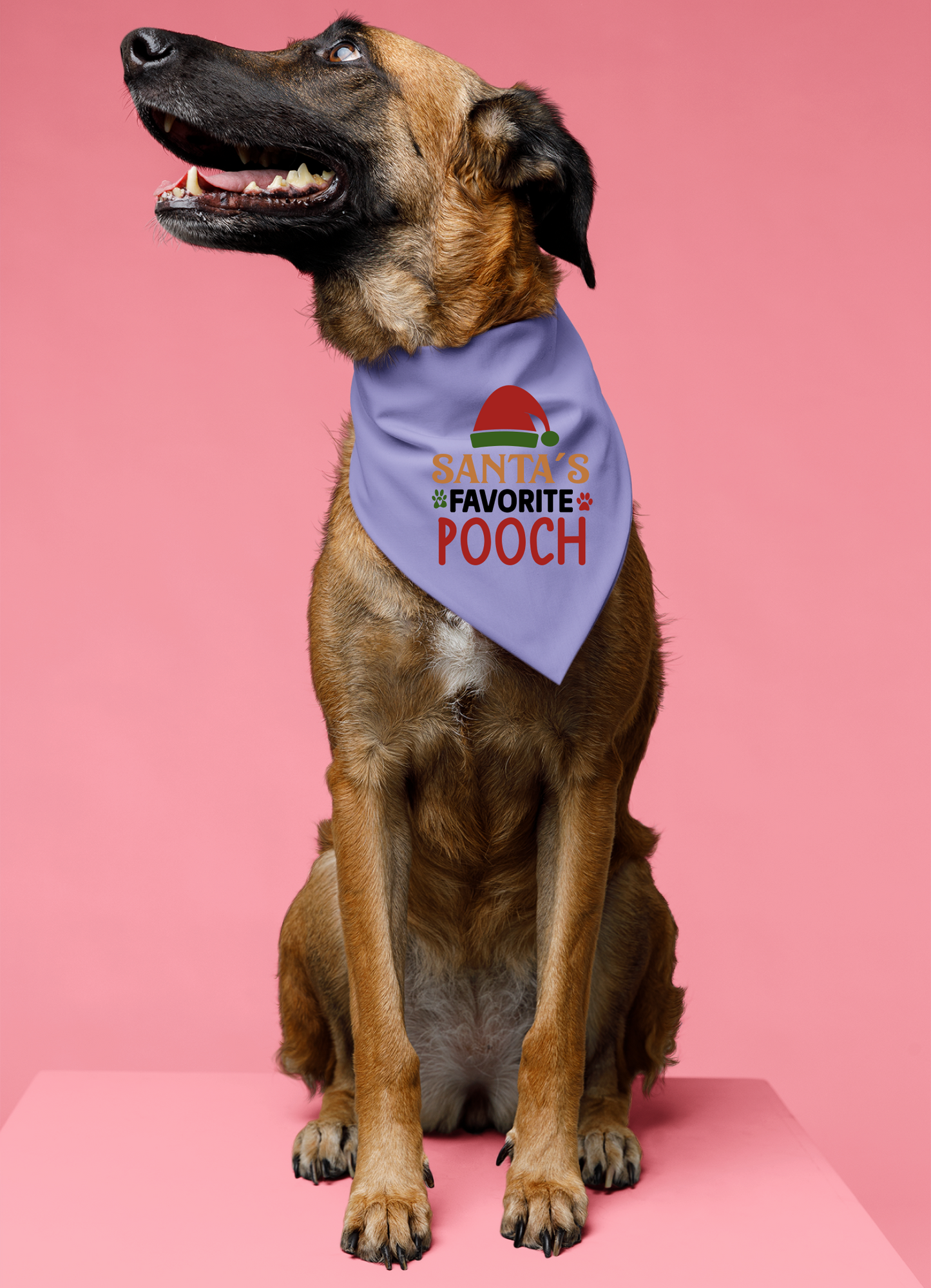 Santa's Favorite Pooch - Festive Dog Bandana