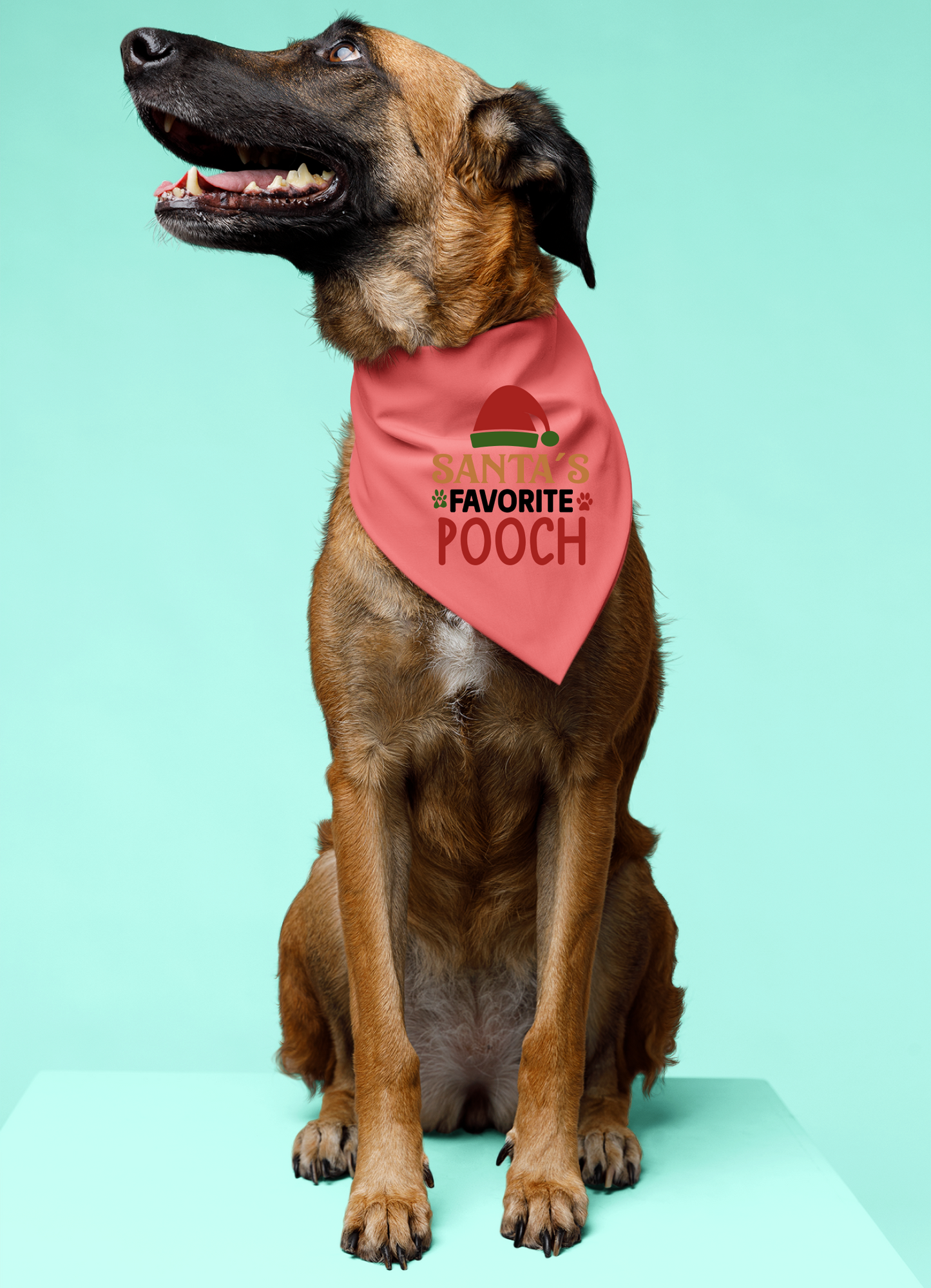 Santa's Favorite Pooch - Festive Dog Bandana