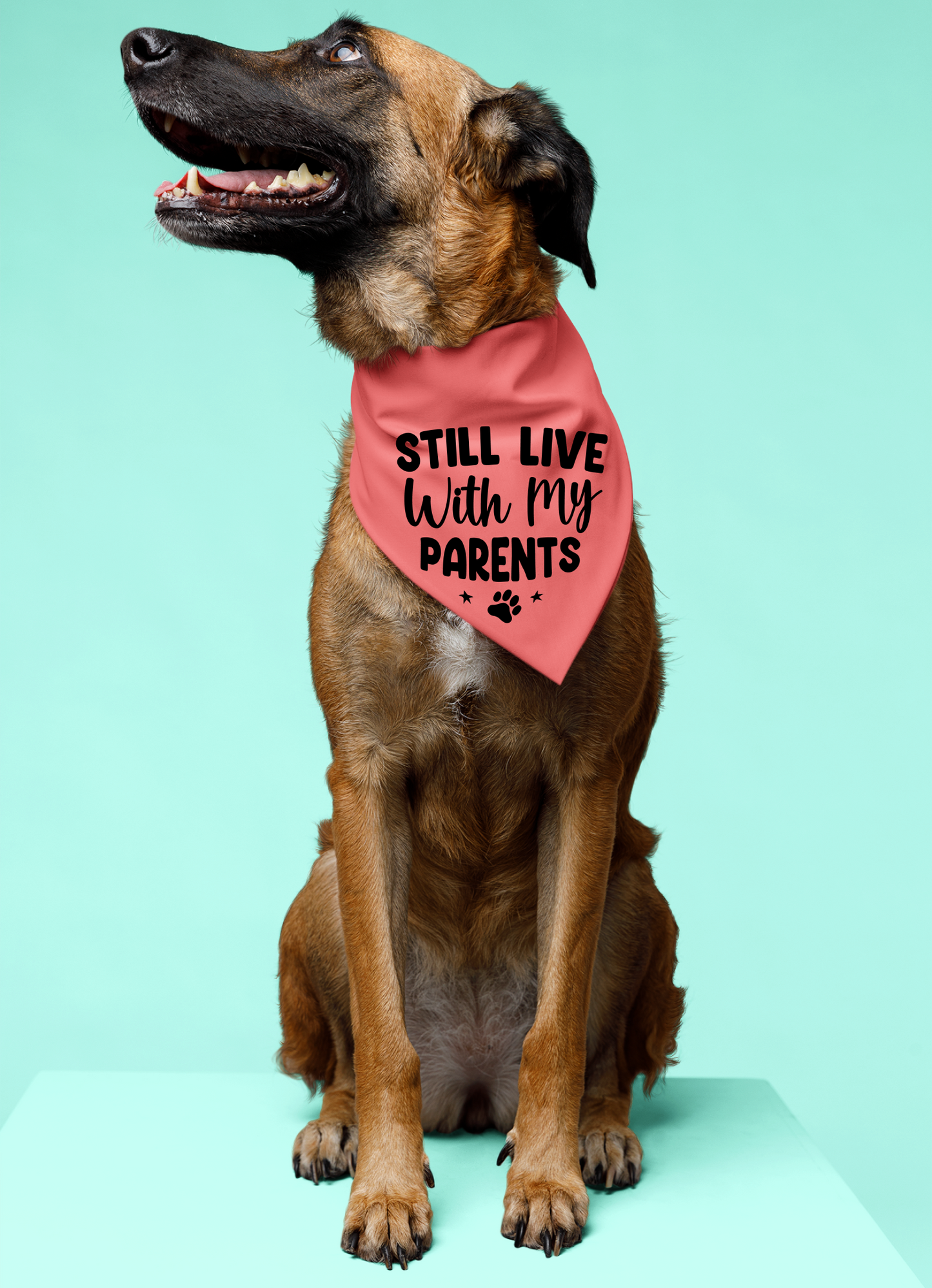 Still Live with My Parents: Detachable Collar Dog Bandana